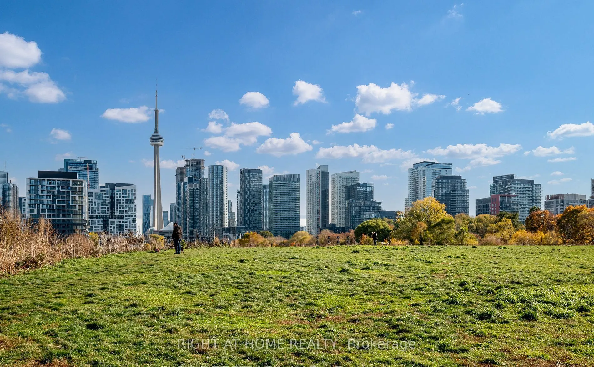 50 Ordnance Street, #1302