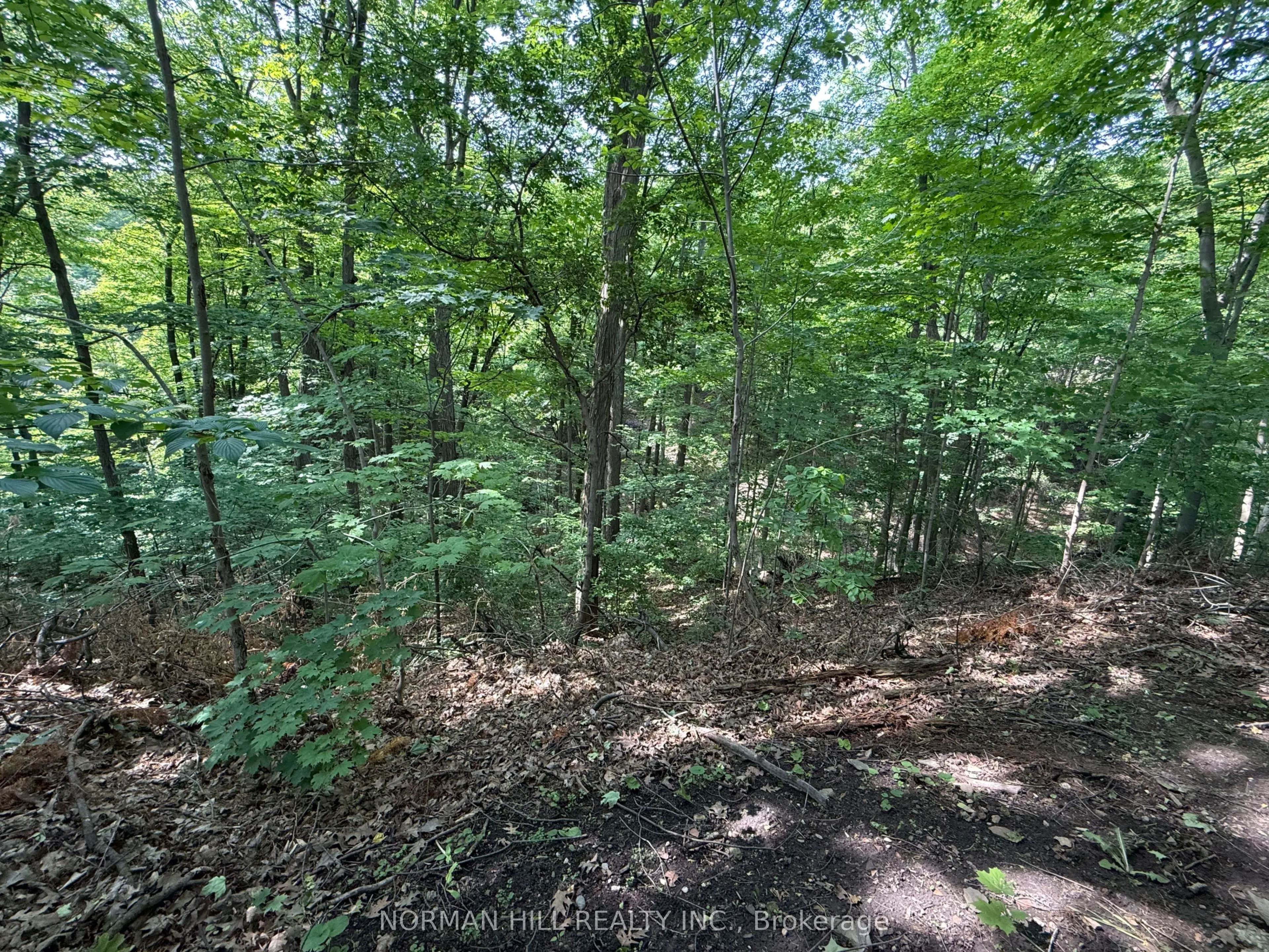 49 Timberlane Drive