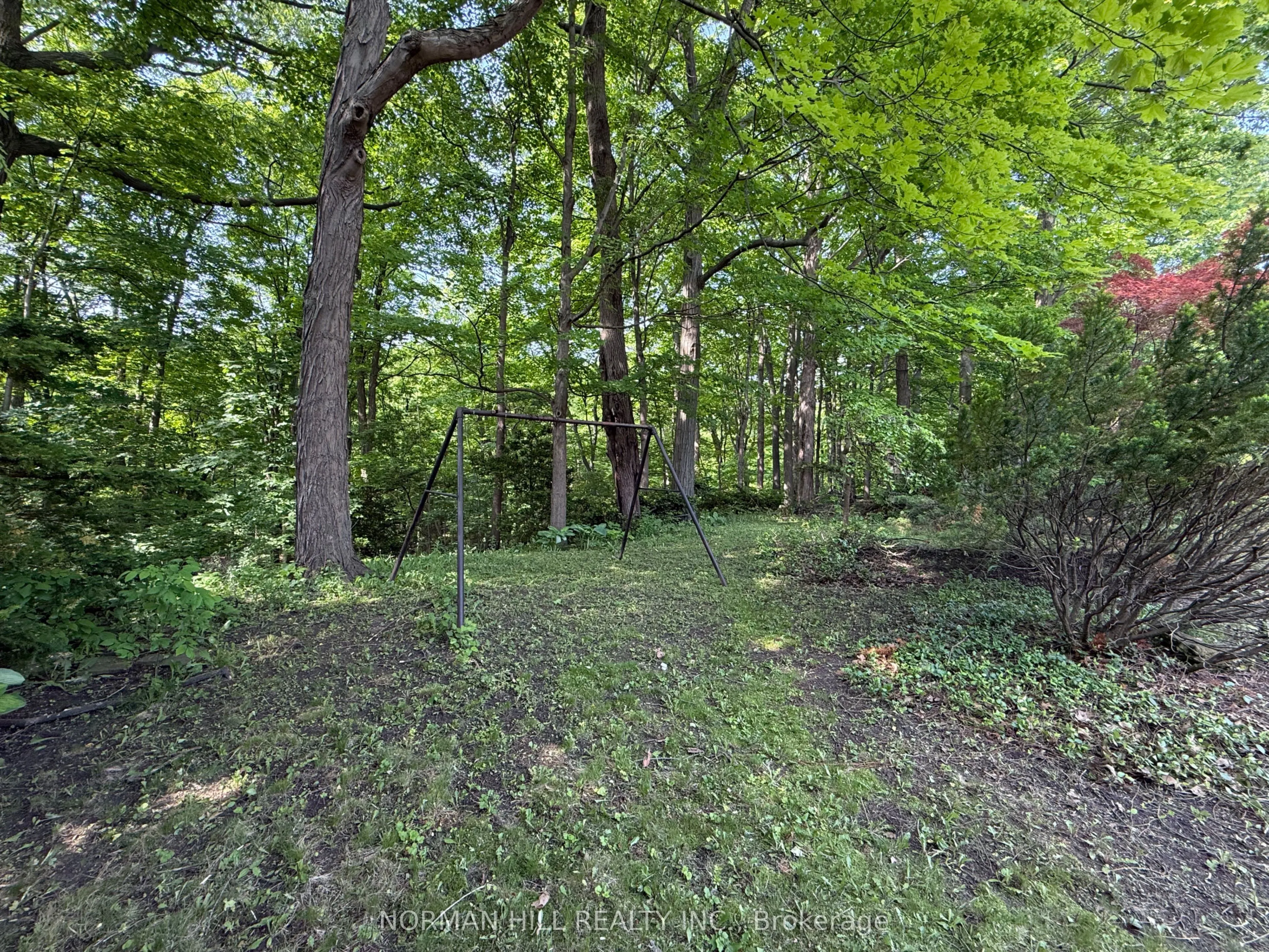 49 Timberlane Drive