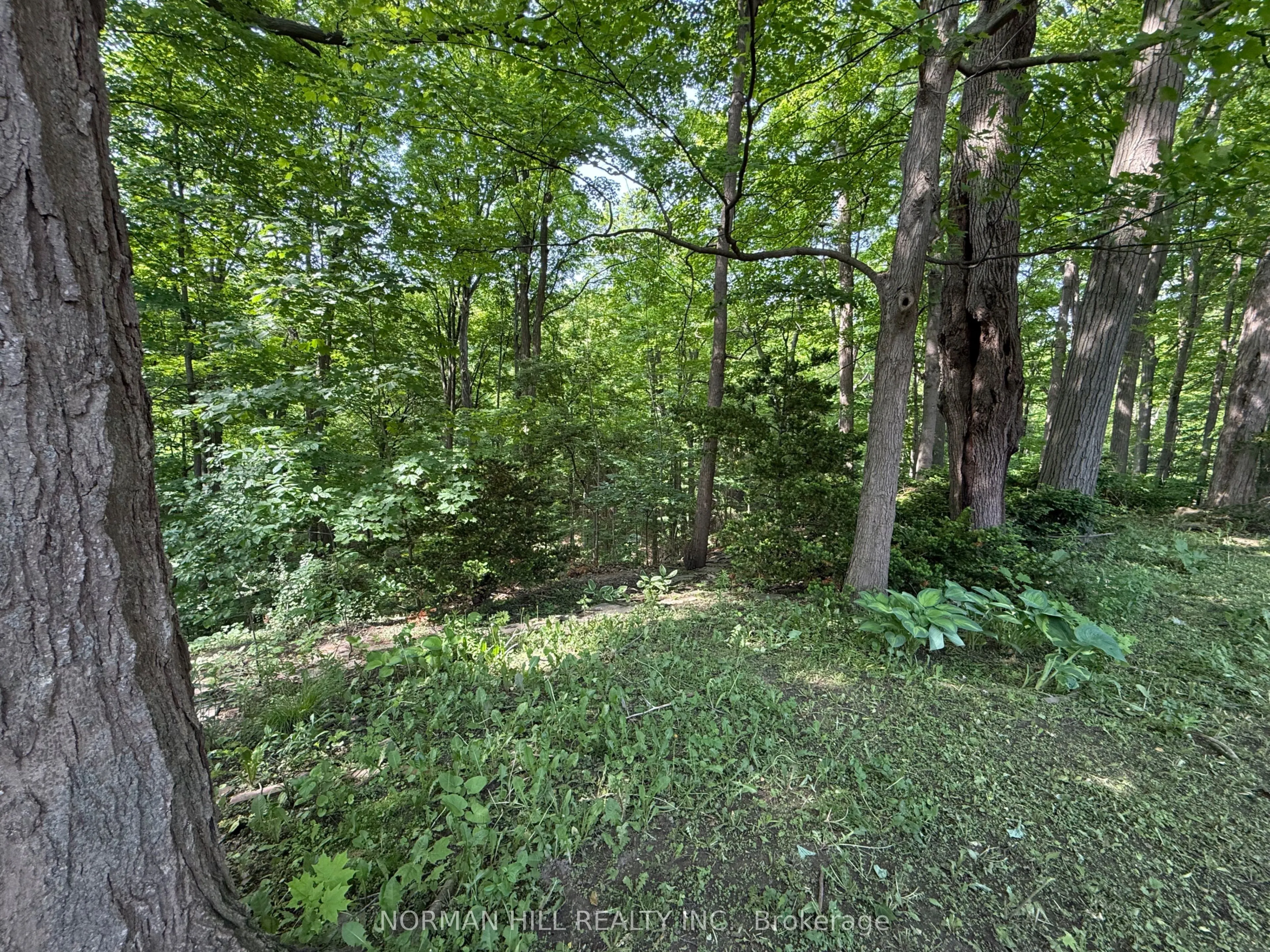 49 Timberlane Drive