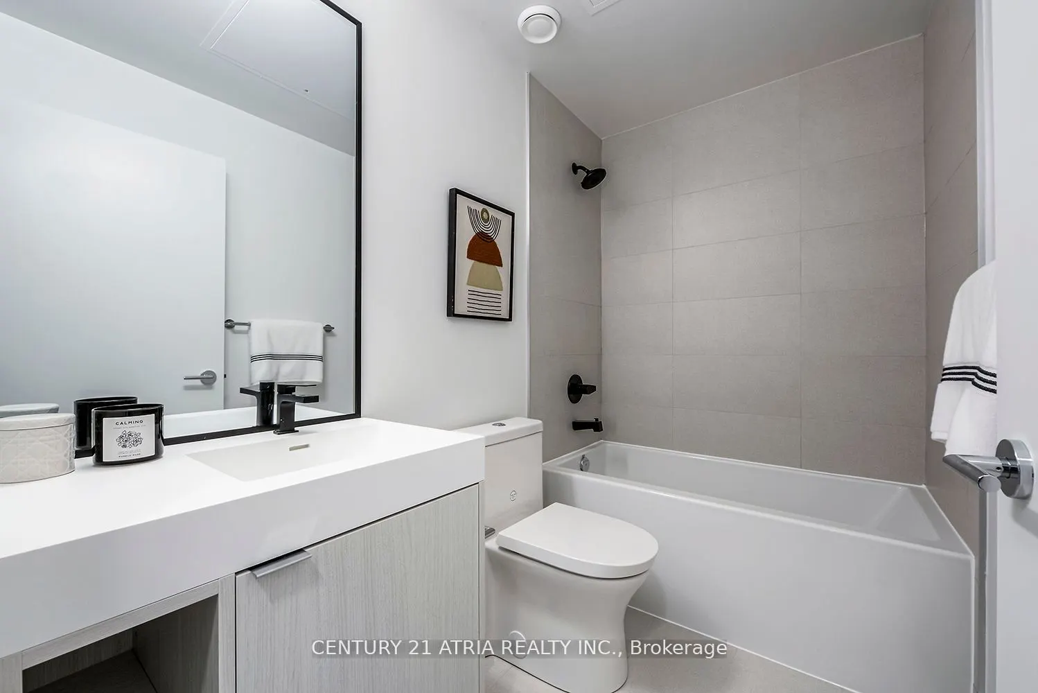 250 Lawrence Street, #717