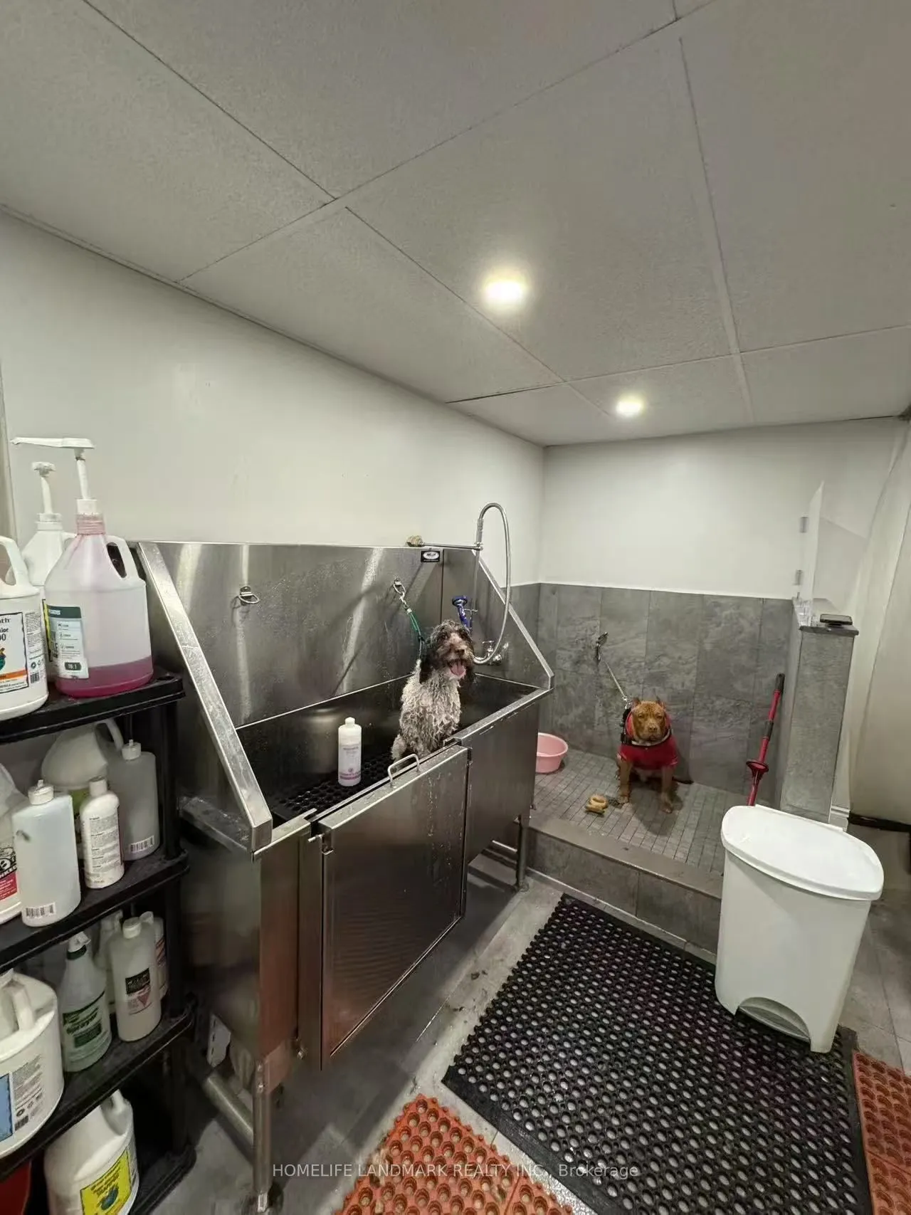 4140 Bathurst Street, #4136