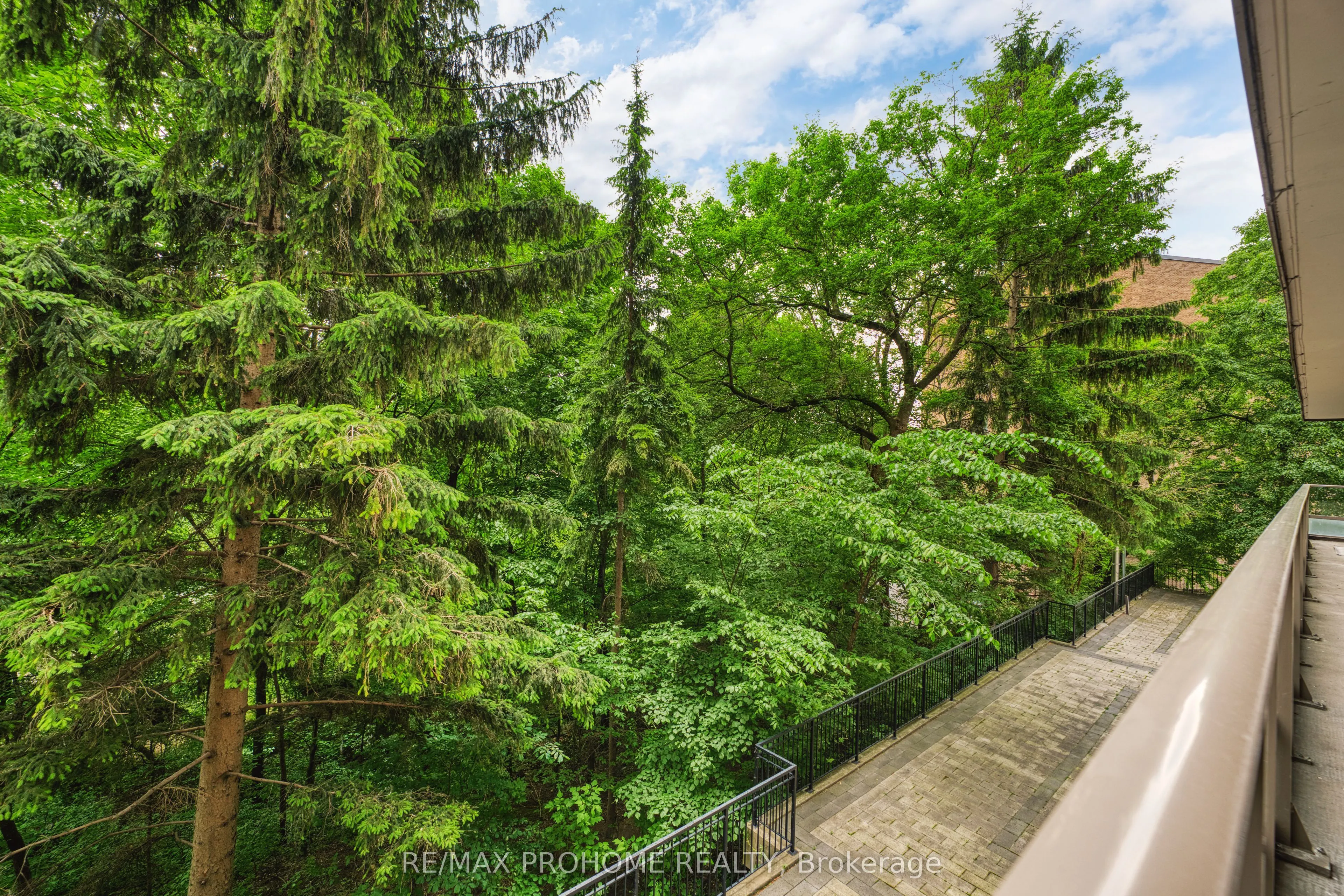 66 Collier Street, #2D