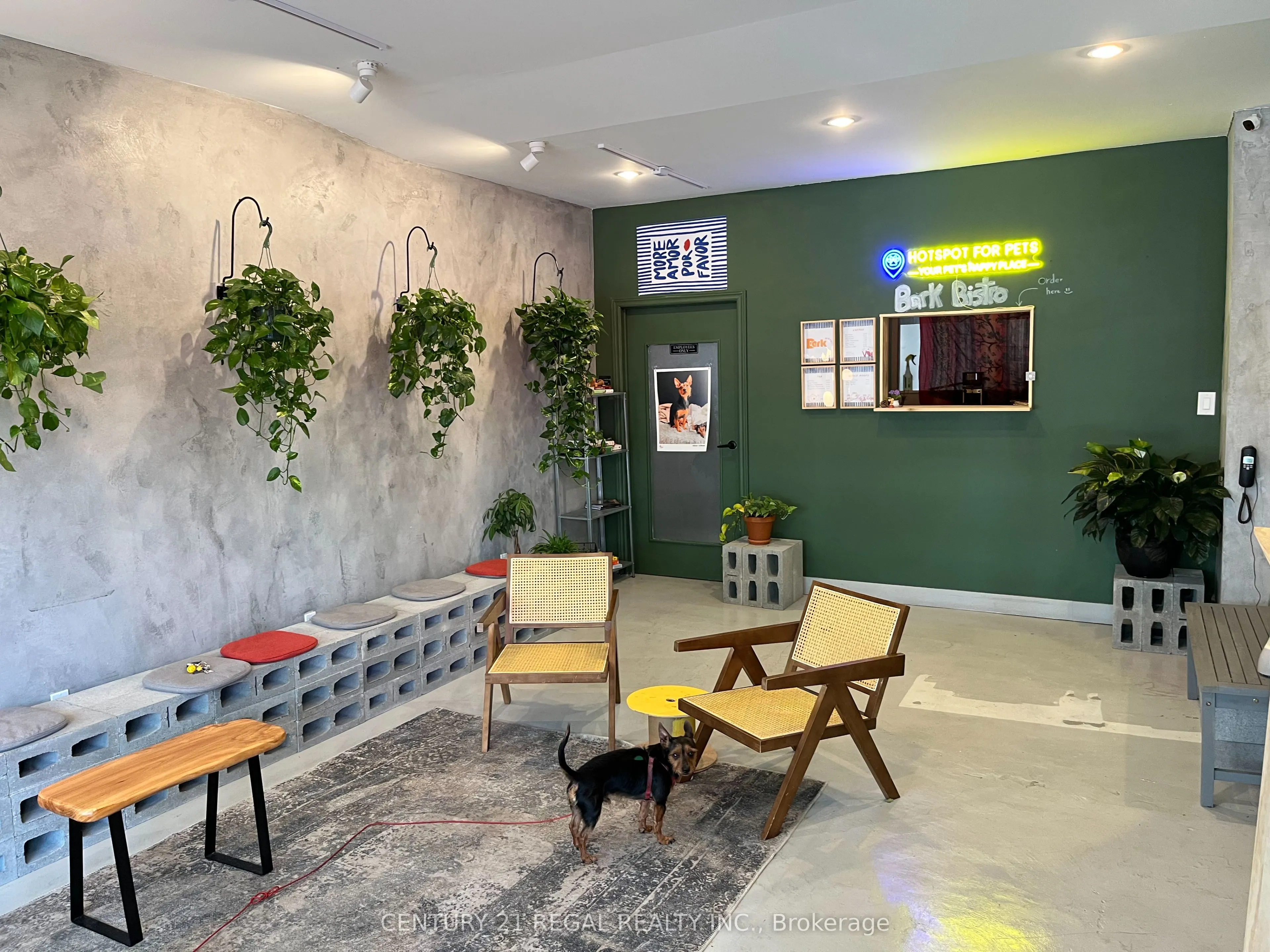 867 DUNDAS Street W