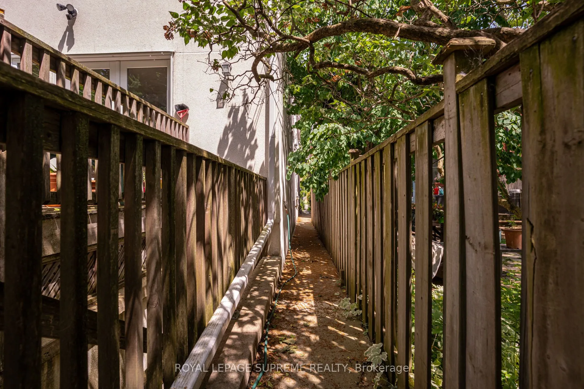 66 Kenwood Avenue, #Lower