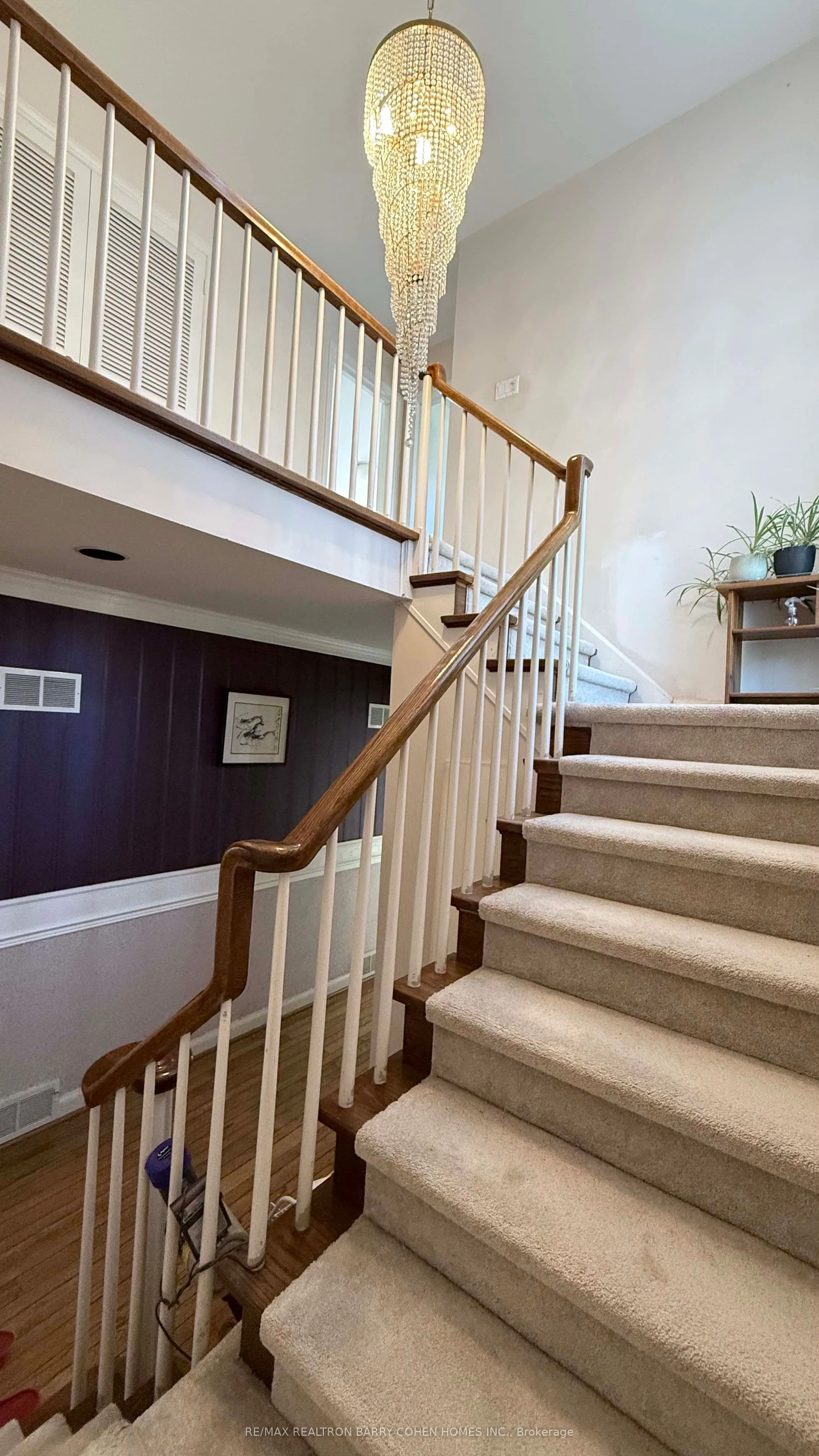 37 Wilket Road