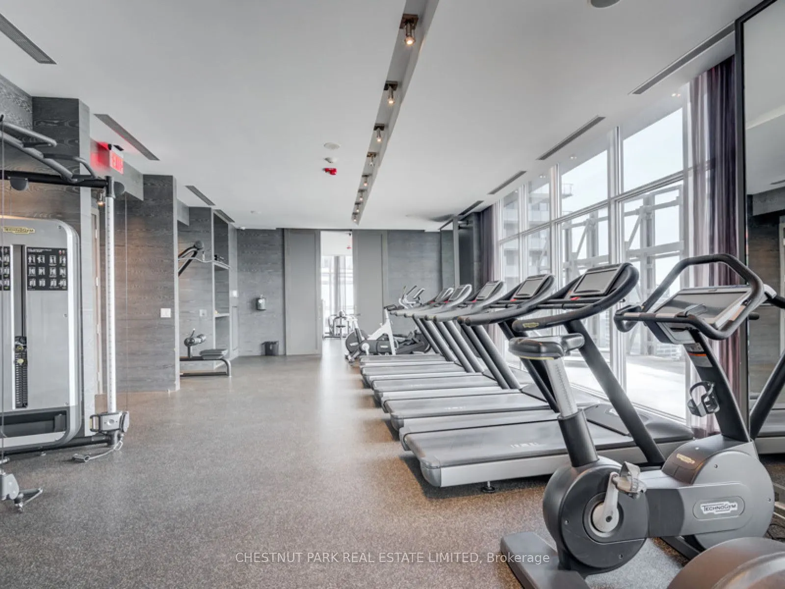 1074 Bay Street, #11