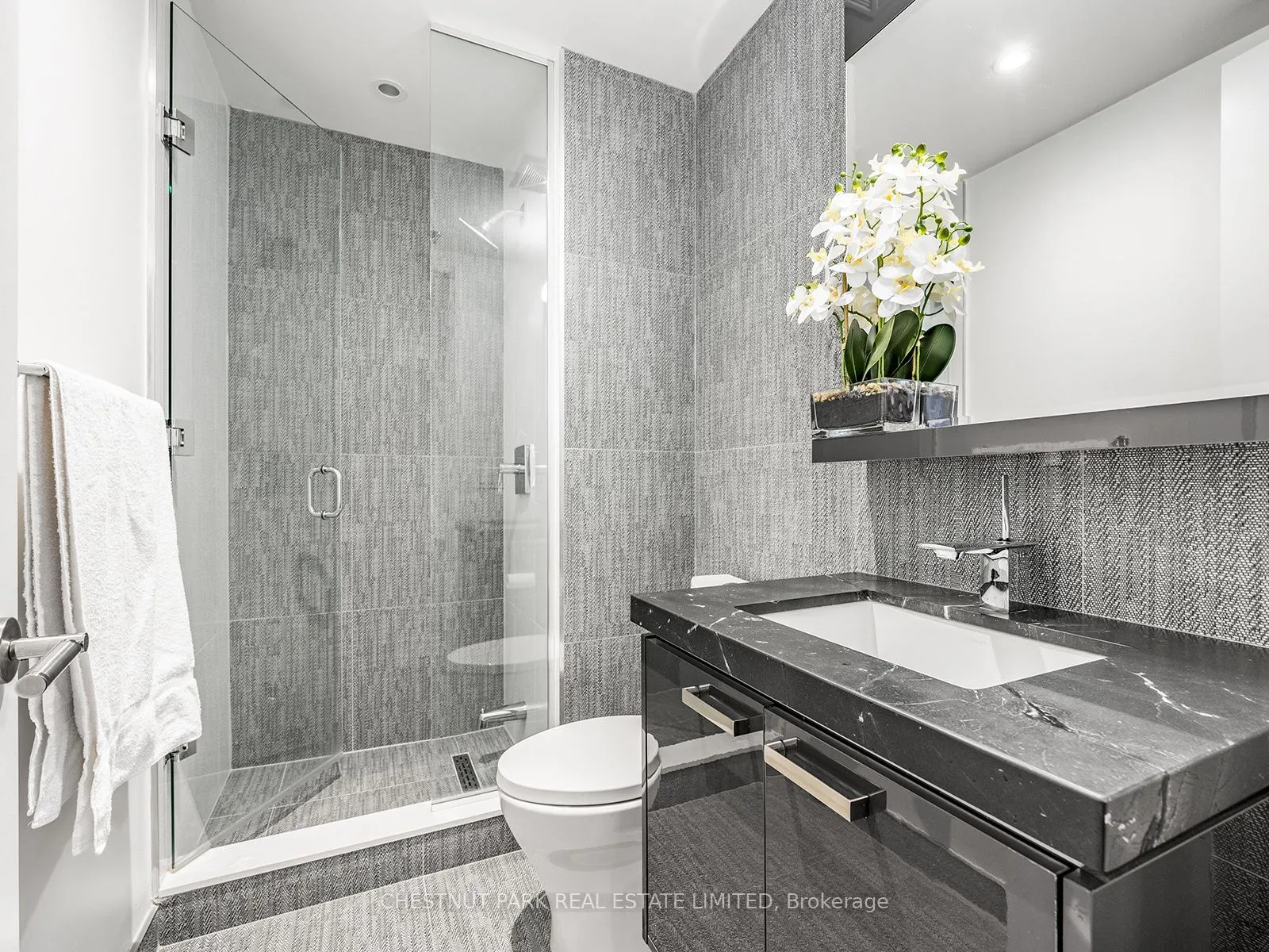 1074 Bay Street, #11