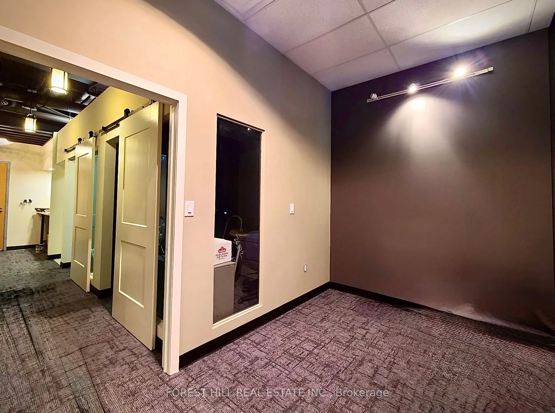 15 Wellesley Street W, #313