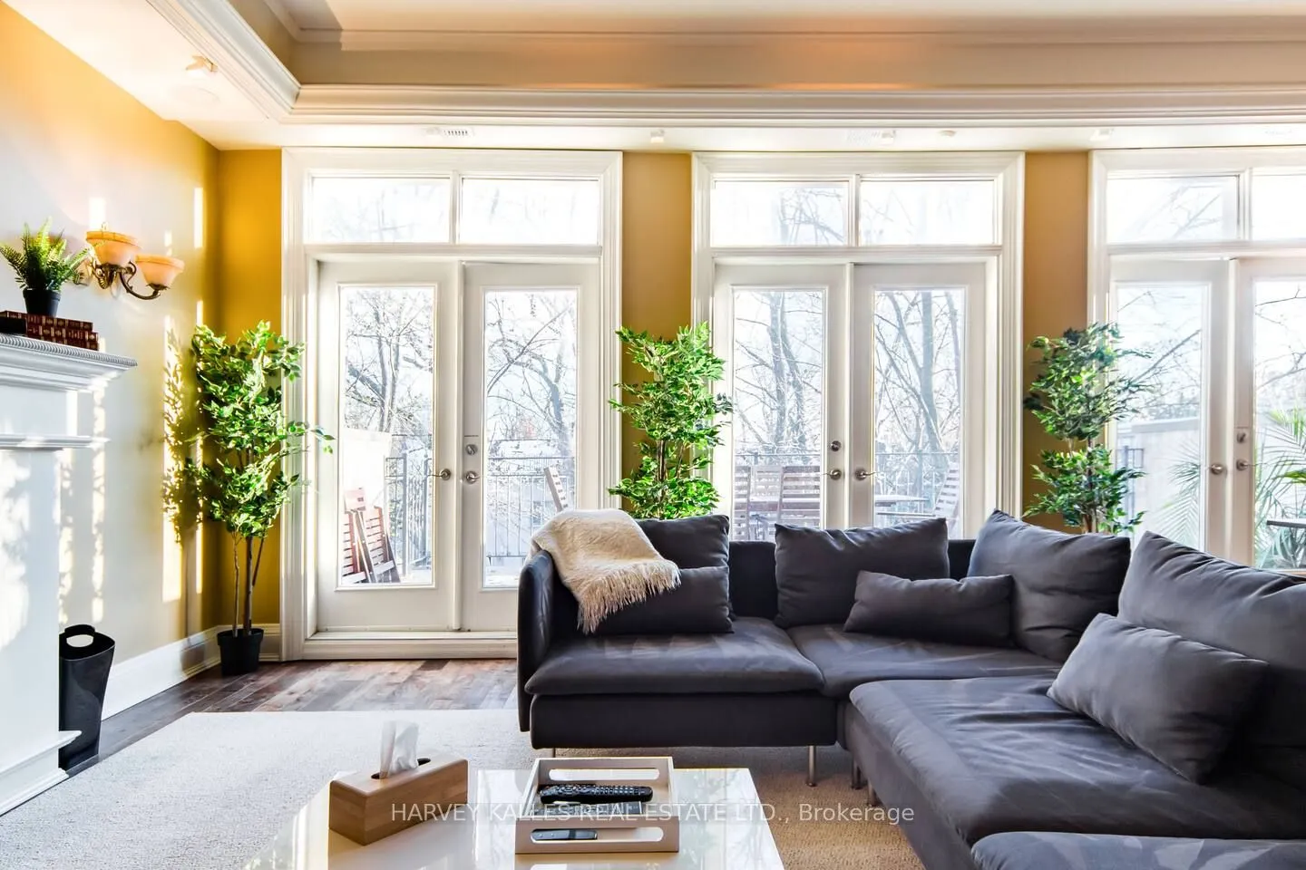 241 St Clair Avenue W