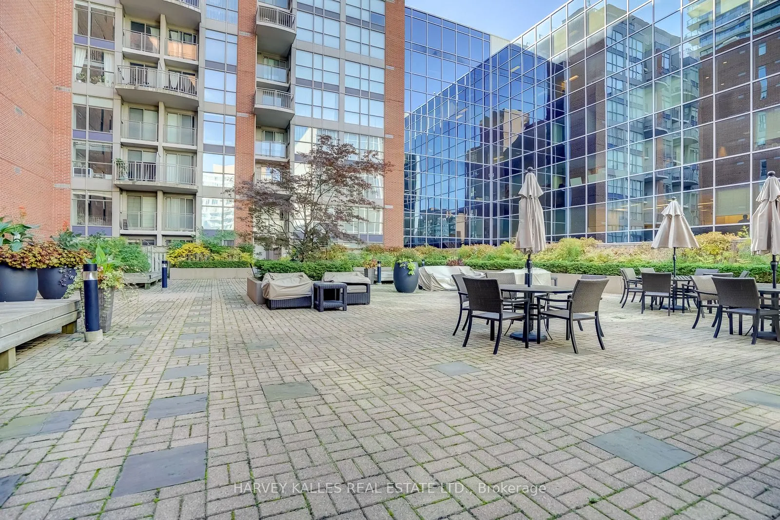 18 Merton Street, #904