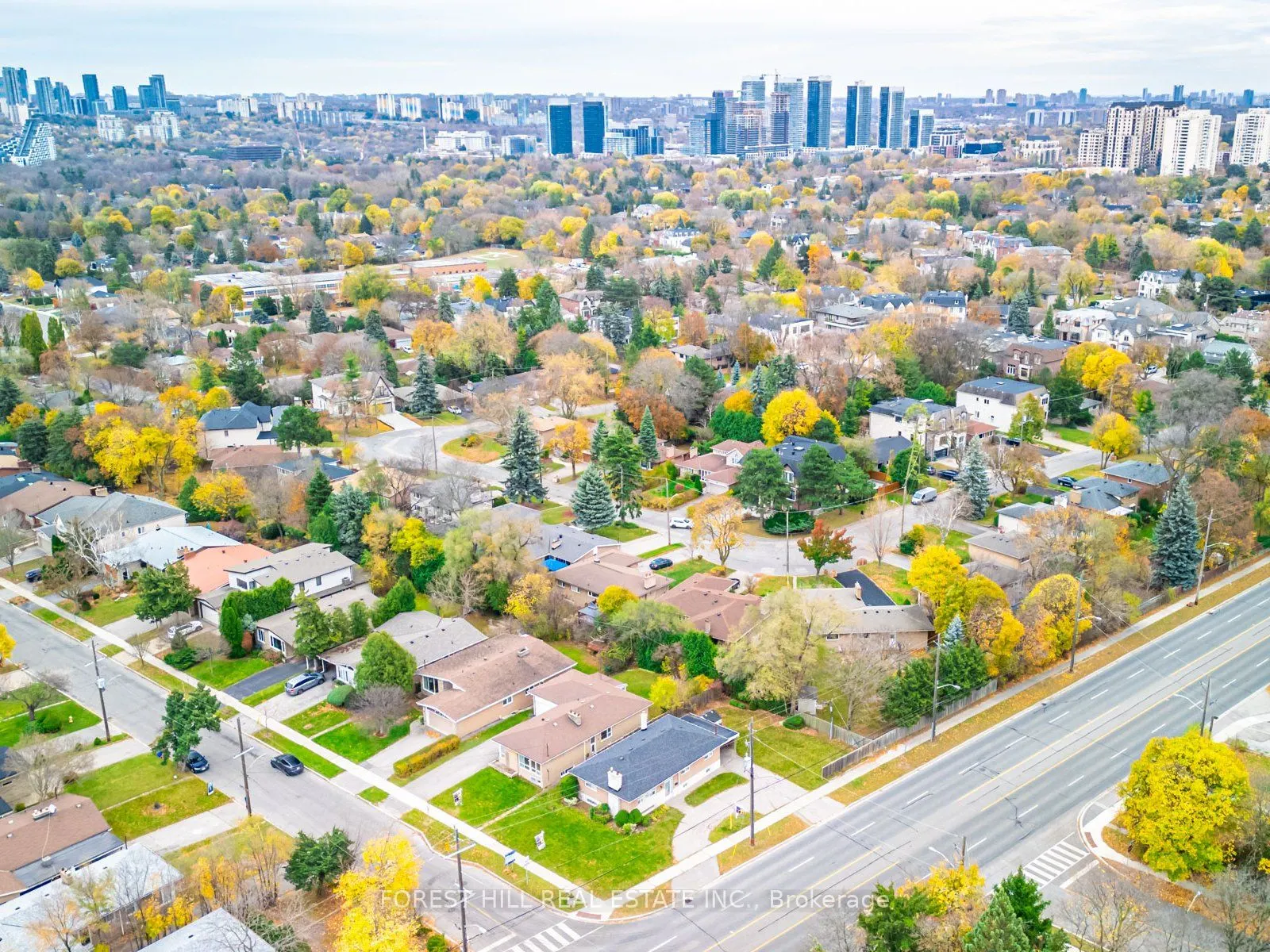 3 Blithfield Avenue