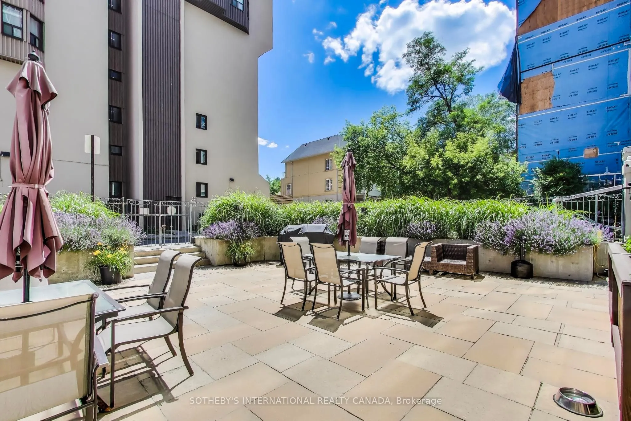 207 Wellesley Street E, #207