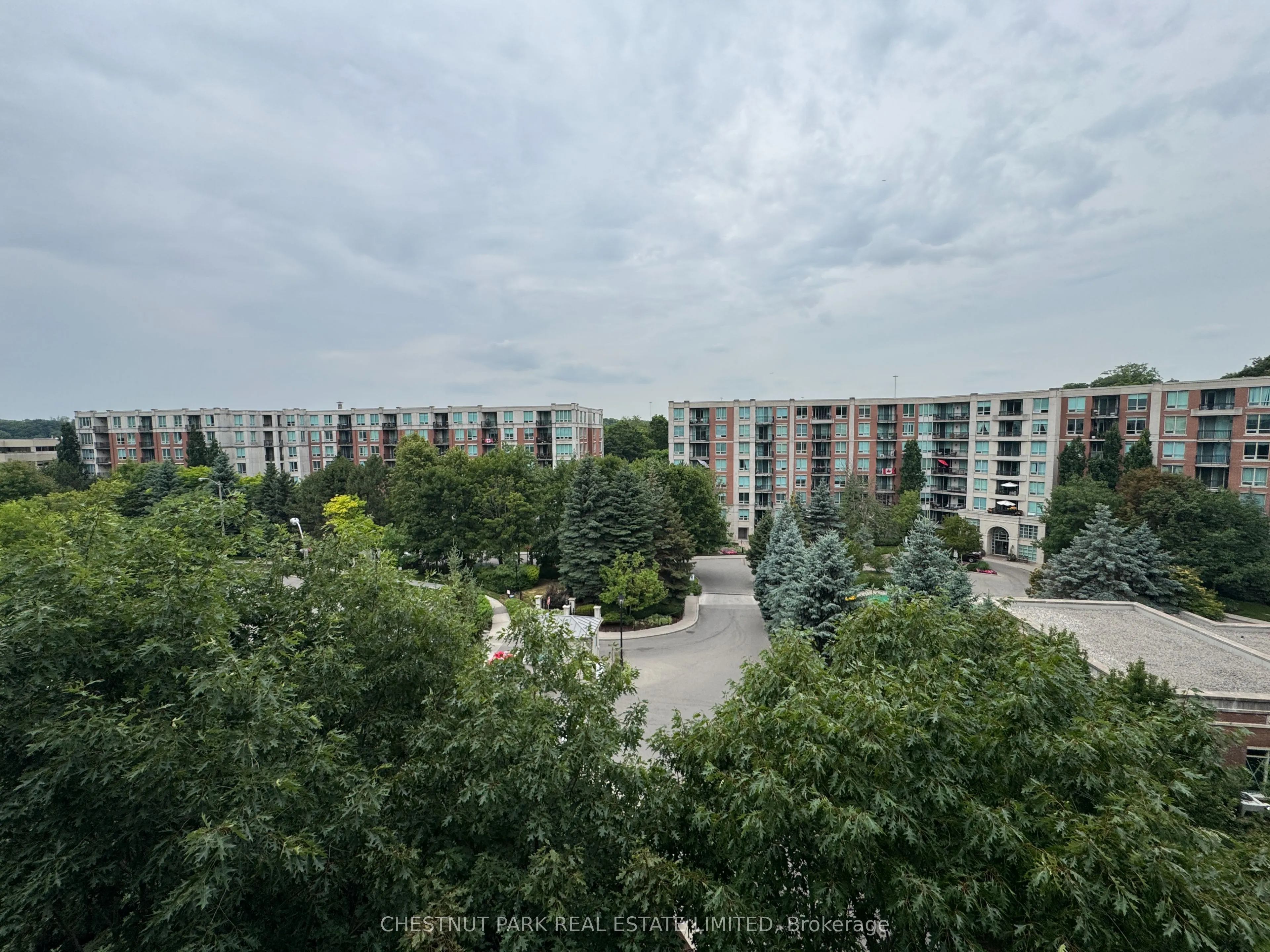 38 William Carson Crescent, #819