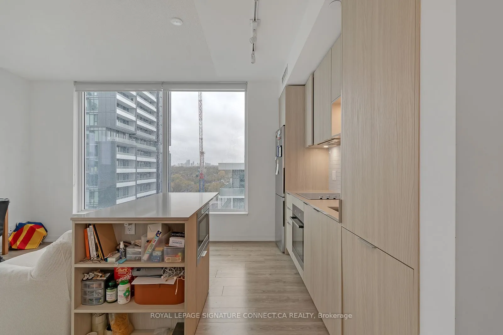 20 Tubman Avenue, #1203