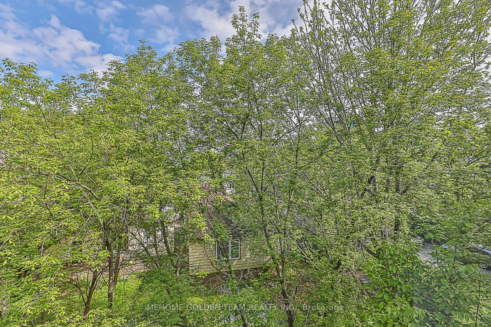 23 Eldora Avenue, #81