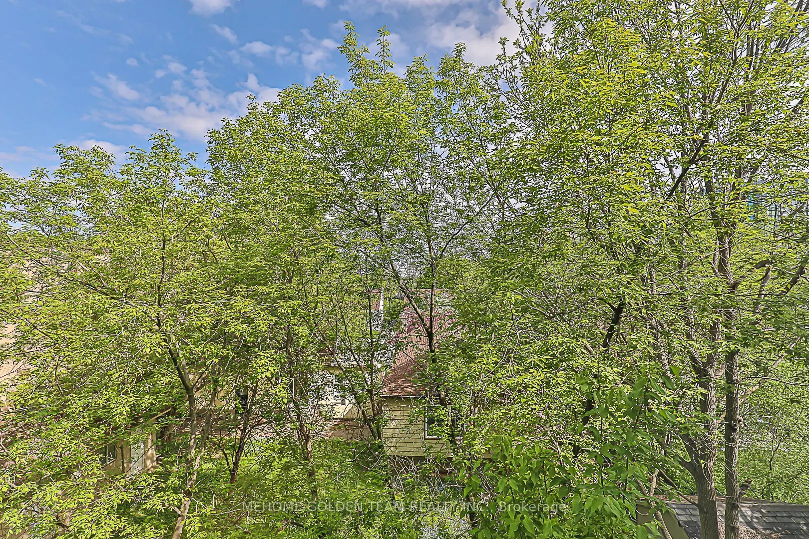 23 Eldora Avenue, #81
