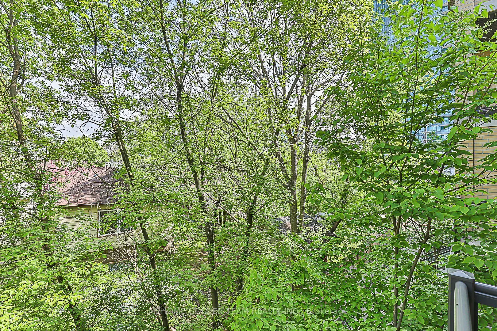 23 Eldora Avenue, #81