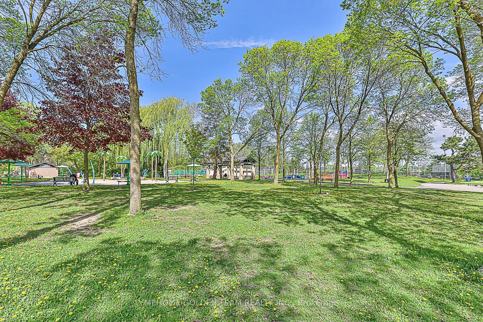 23 Eldora Avenue, #81