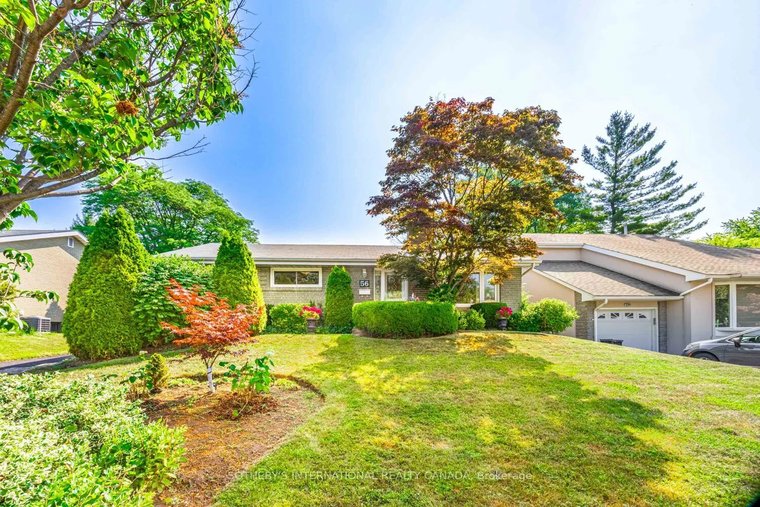56 Ternhill Crescent