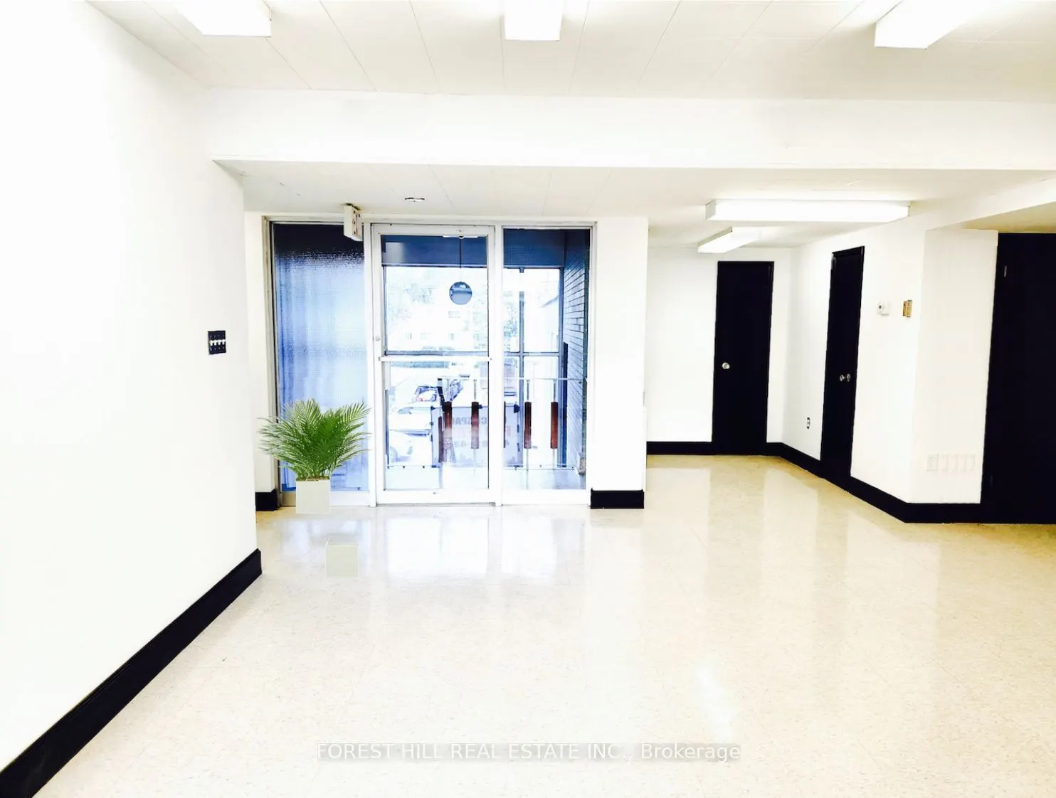226 Bathurst Street, #300