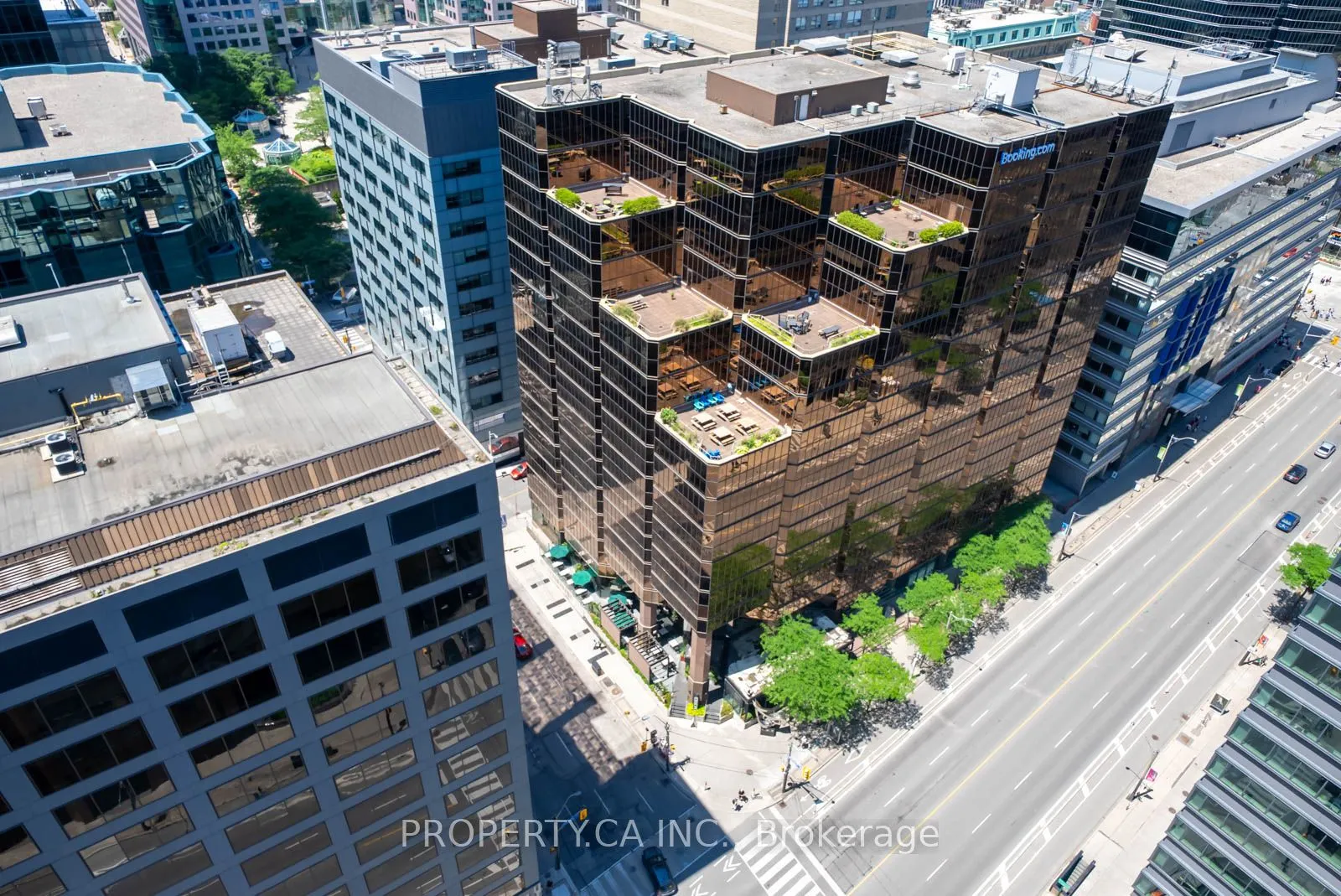 33 University Avenue, #1407