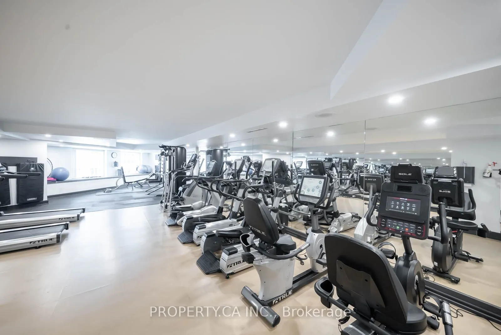 33 University Avenue, #1407