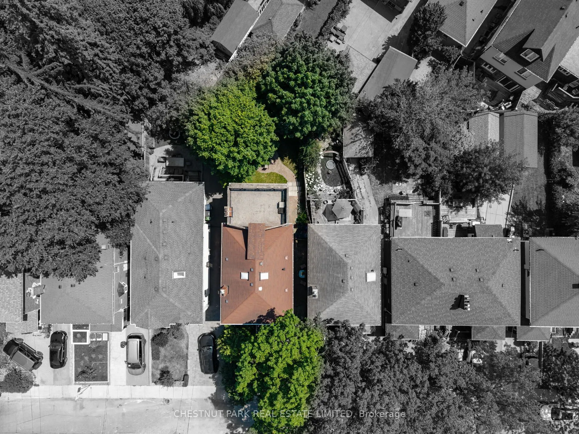 25 Maxwell Avenue