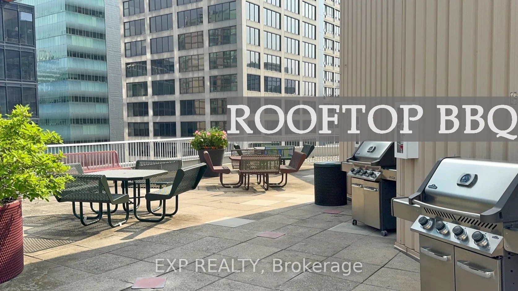 711 Bay Street, #817