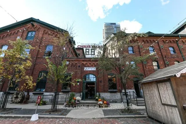 390 Cherry Street, #704