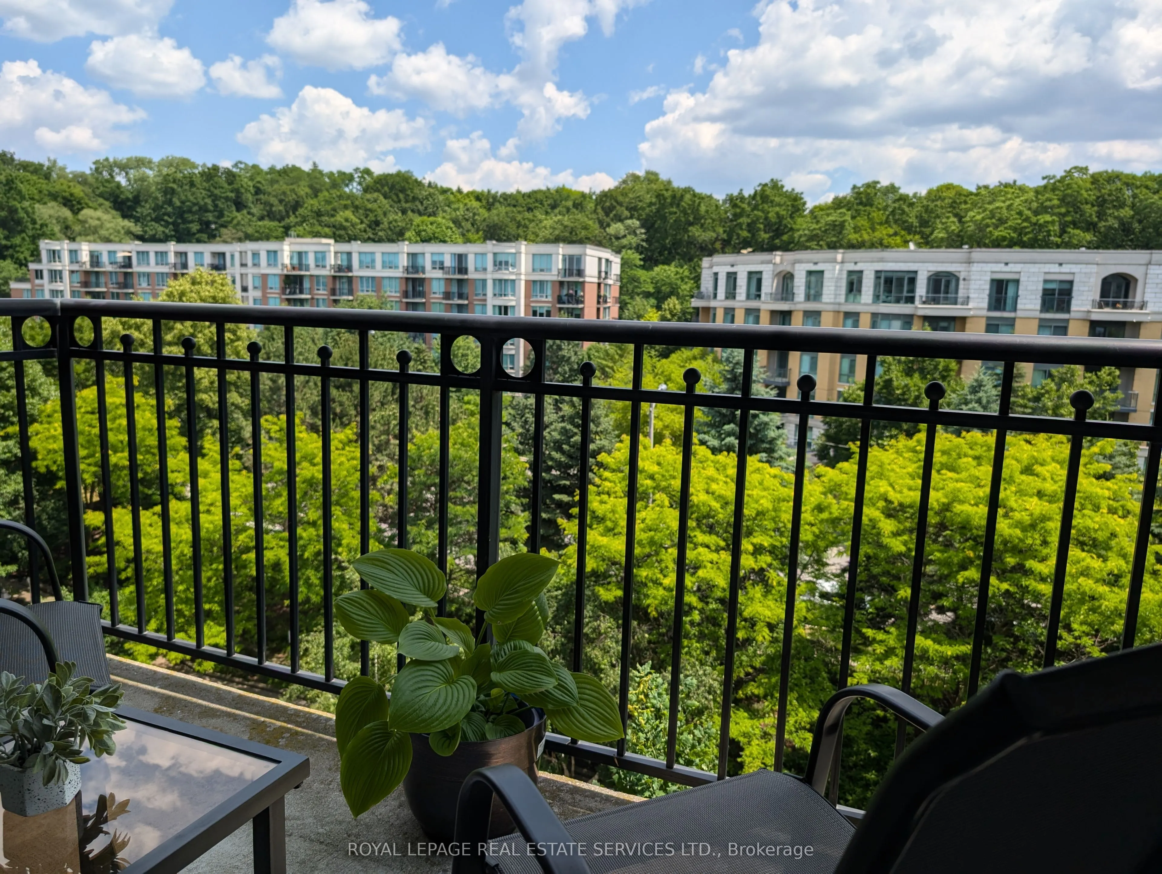 18 William Carson Crescent, #811