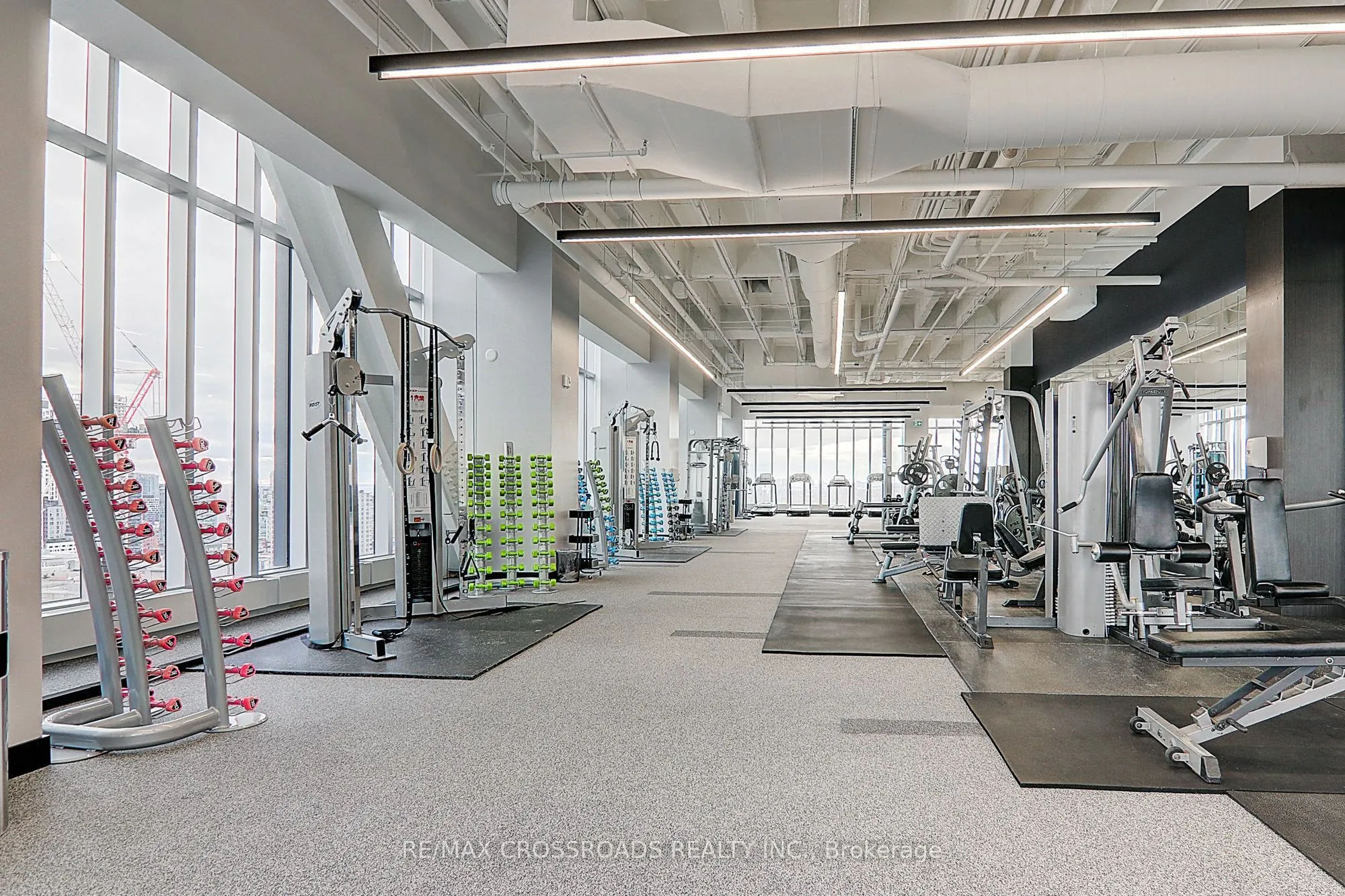488 University Avenue, #4310