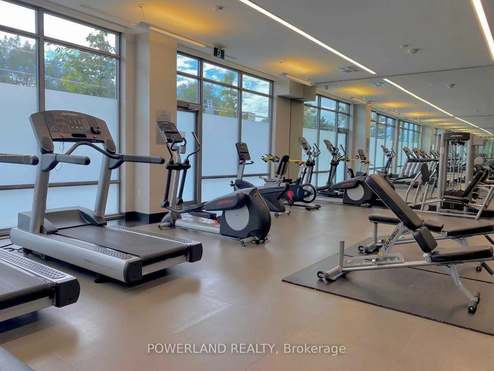 50 Forest Manor Road, #1402
