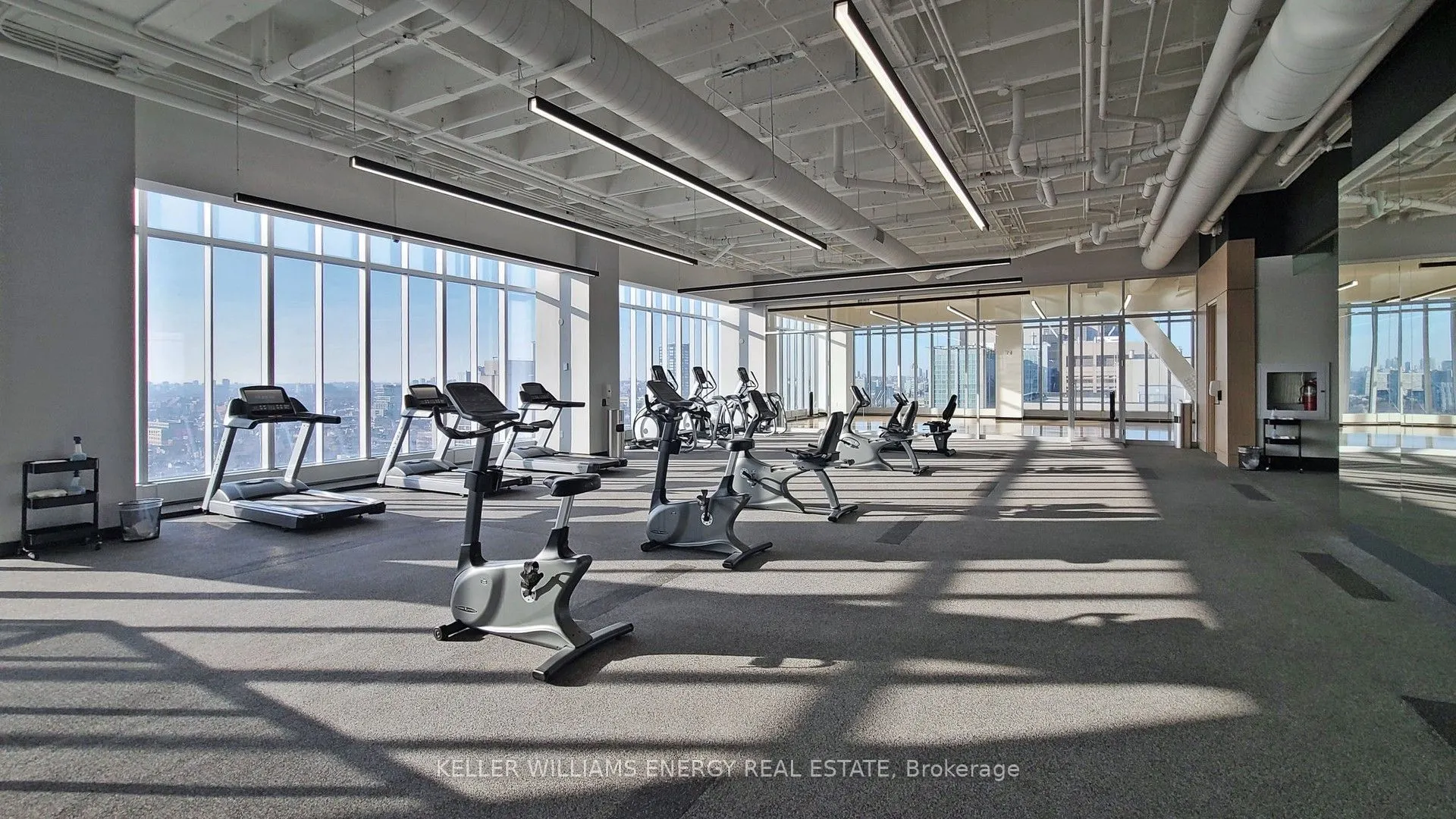 488 University Avenue, #3307