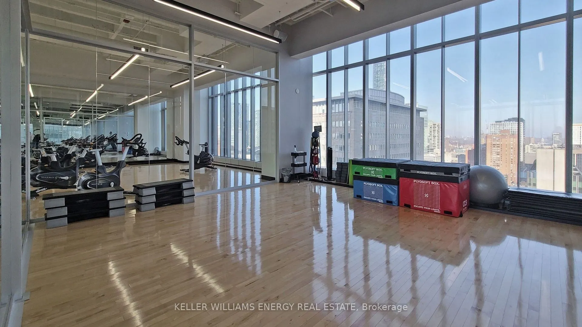 488 University Avenue, #3307