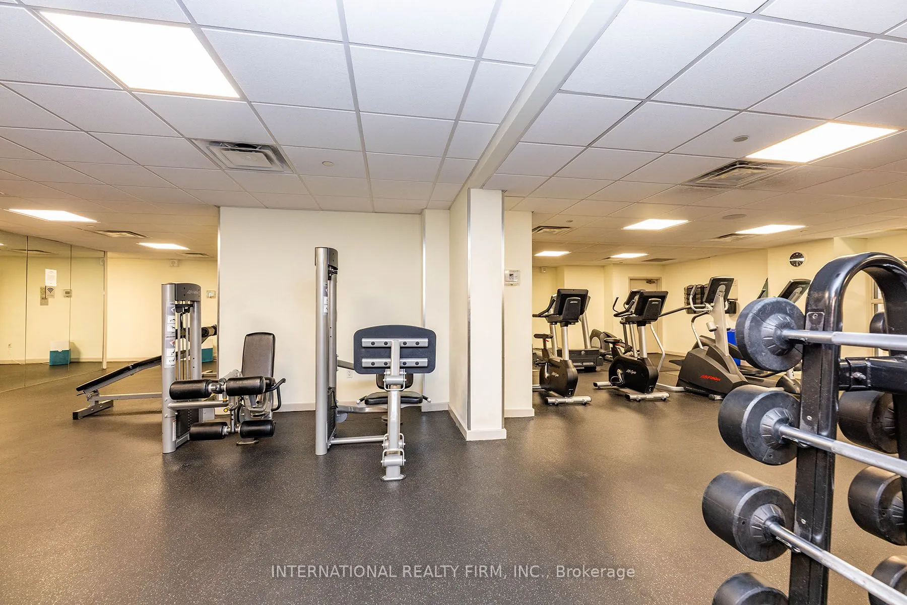 705 King Street W, #215
