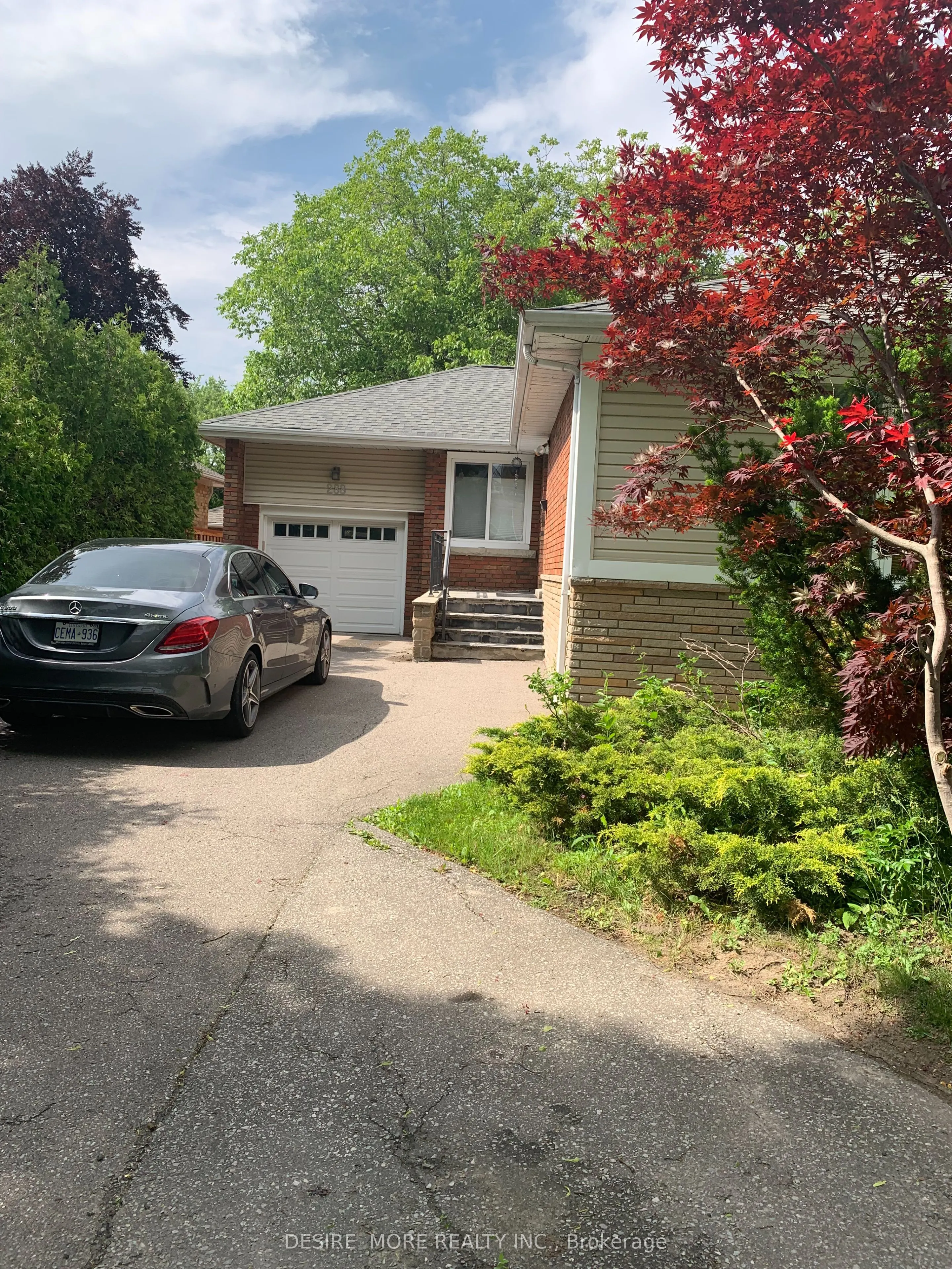 288 Betty Ann Drive, #basement