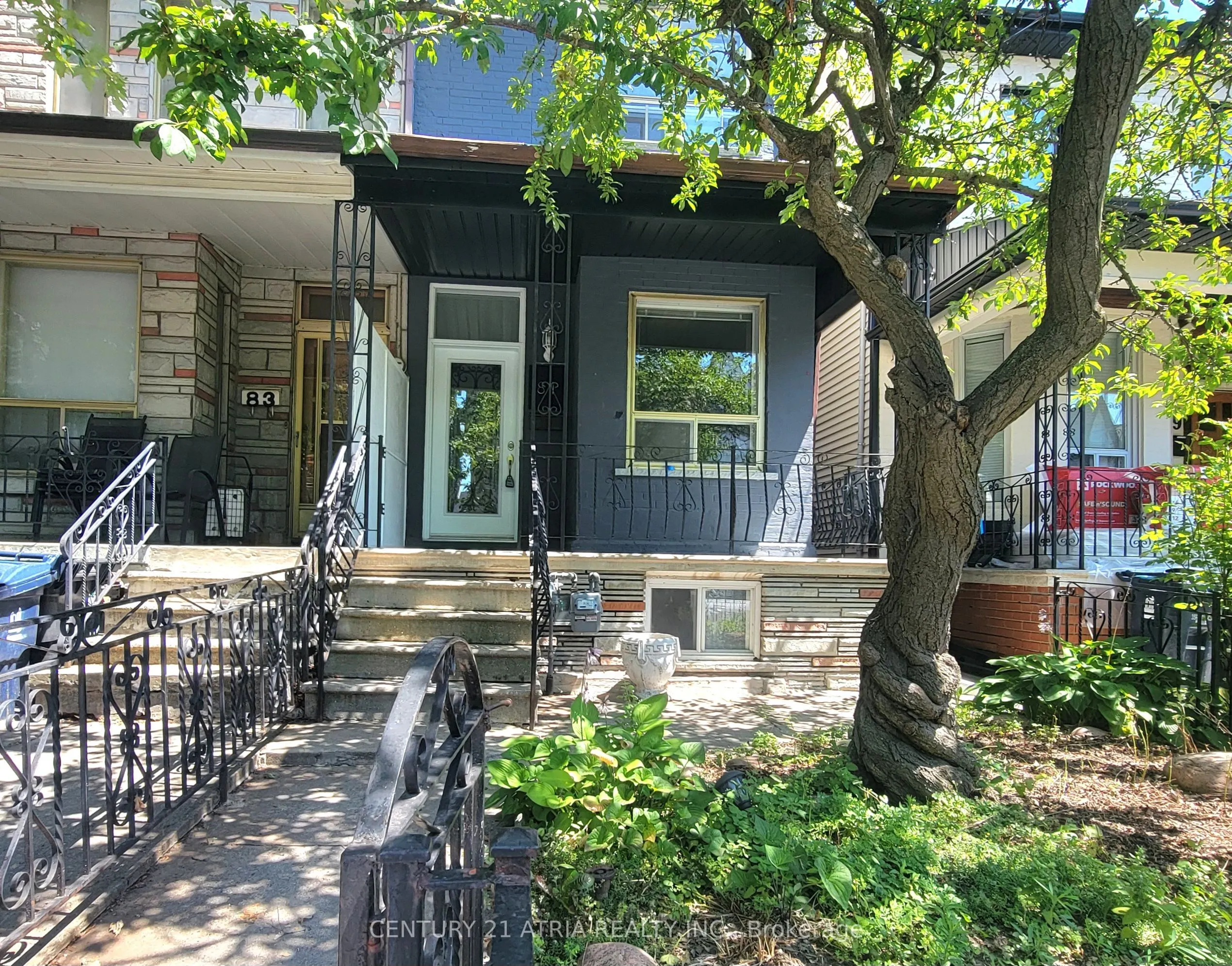 81 Montrose Avenue