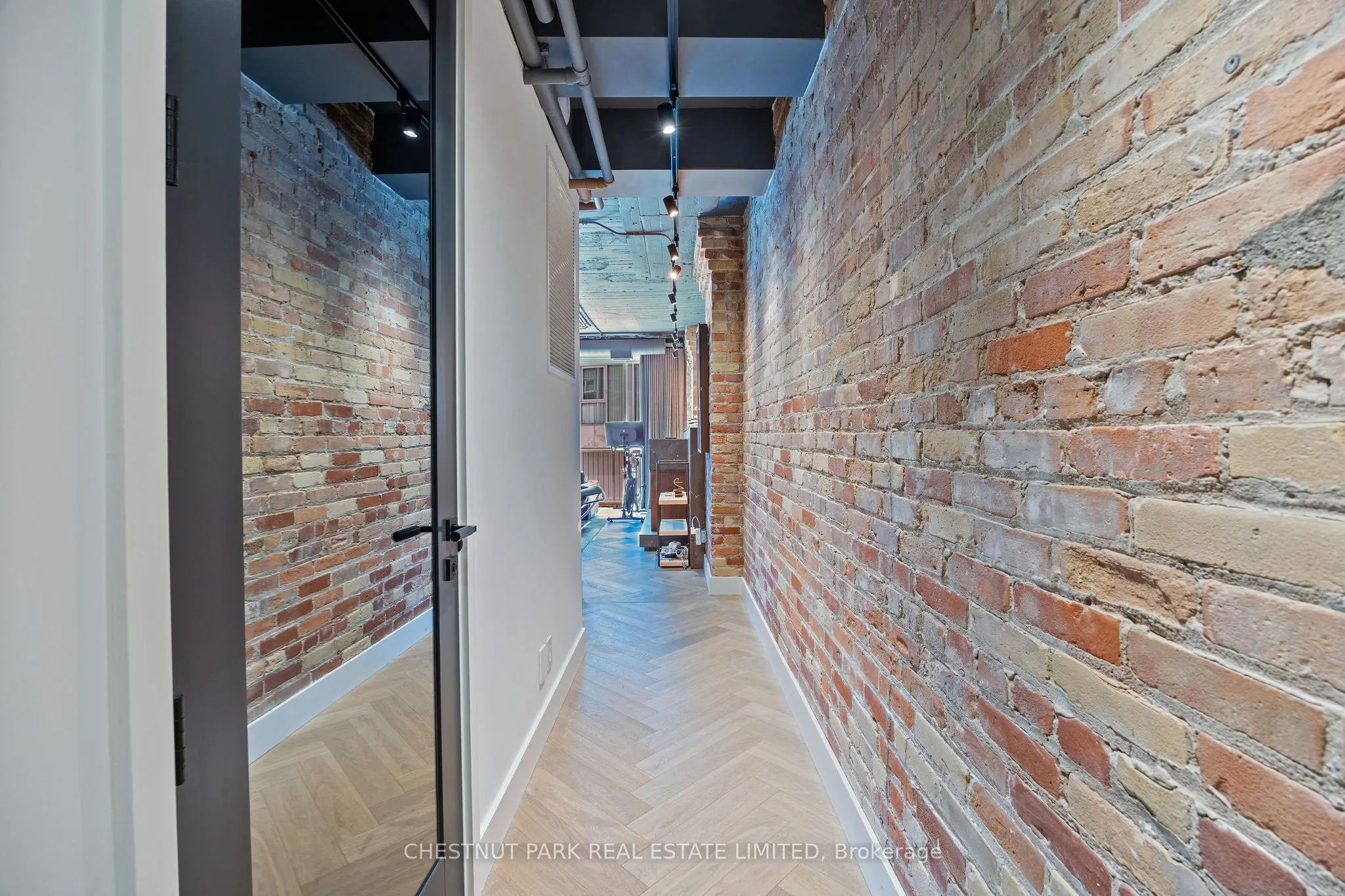 113 Dupont Street, #201
