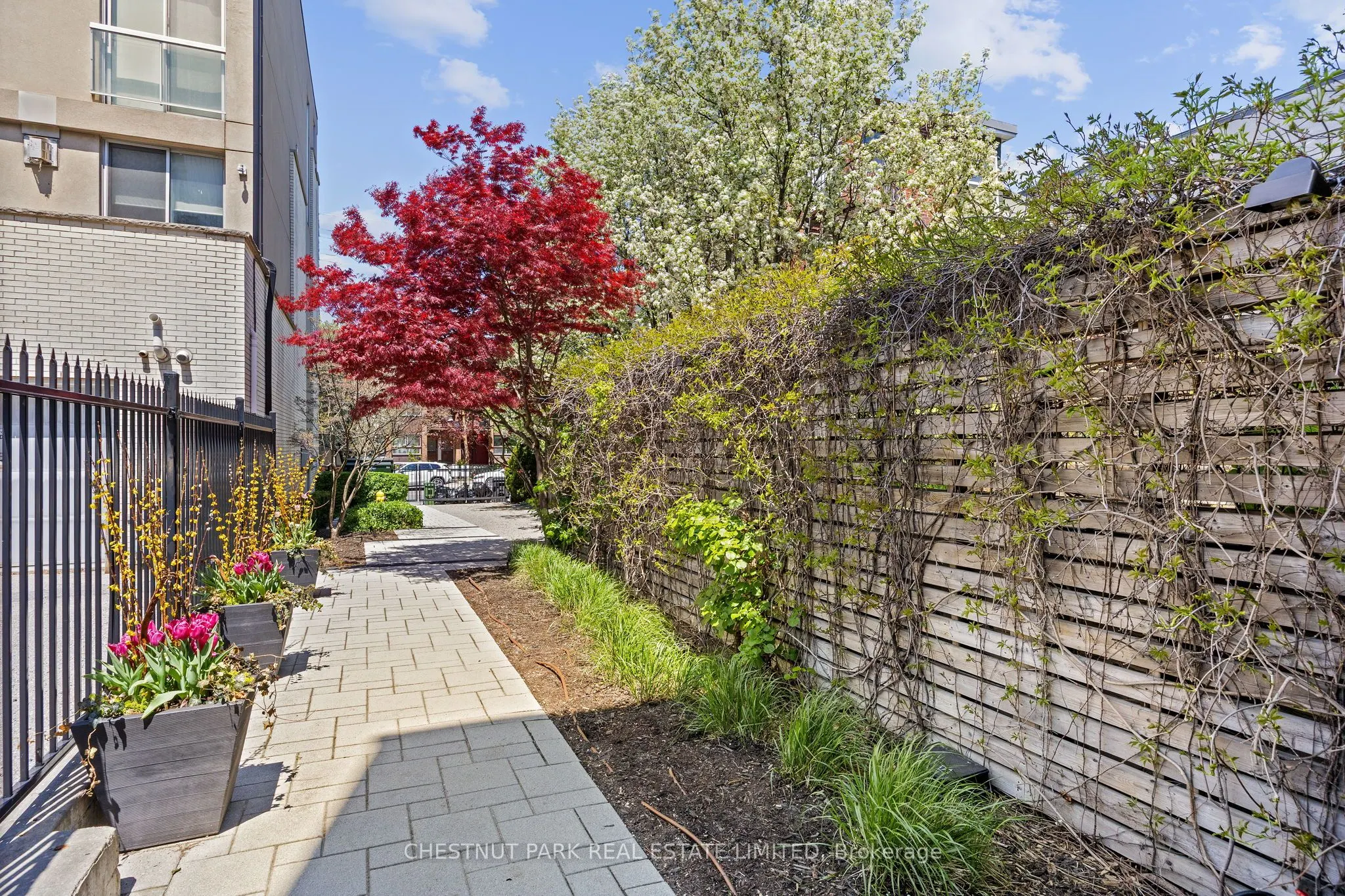 113 Dupont Street, #201