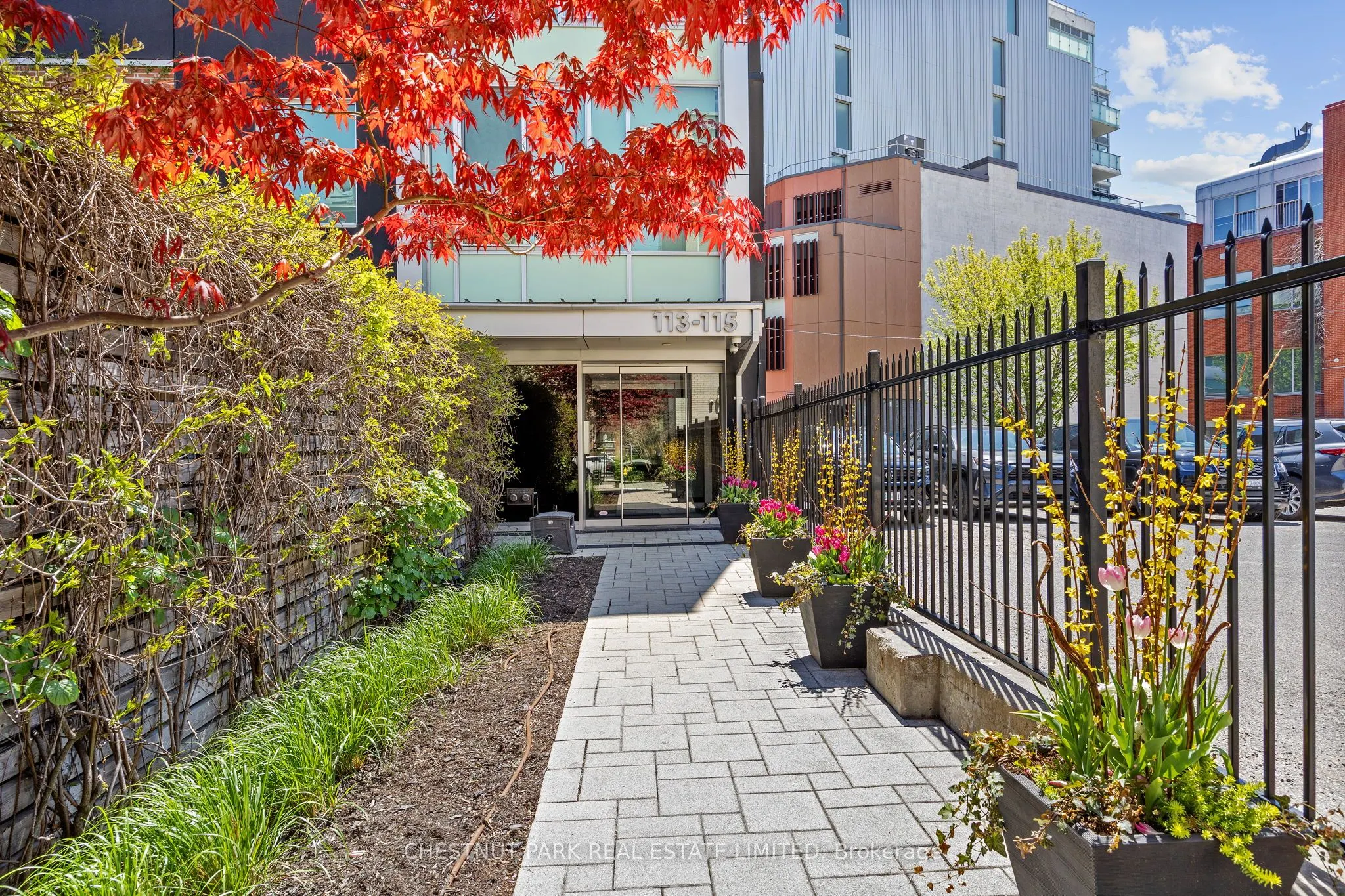 113 Dupont Street, #201