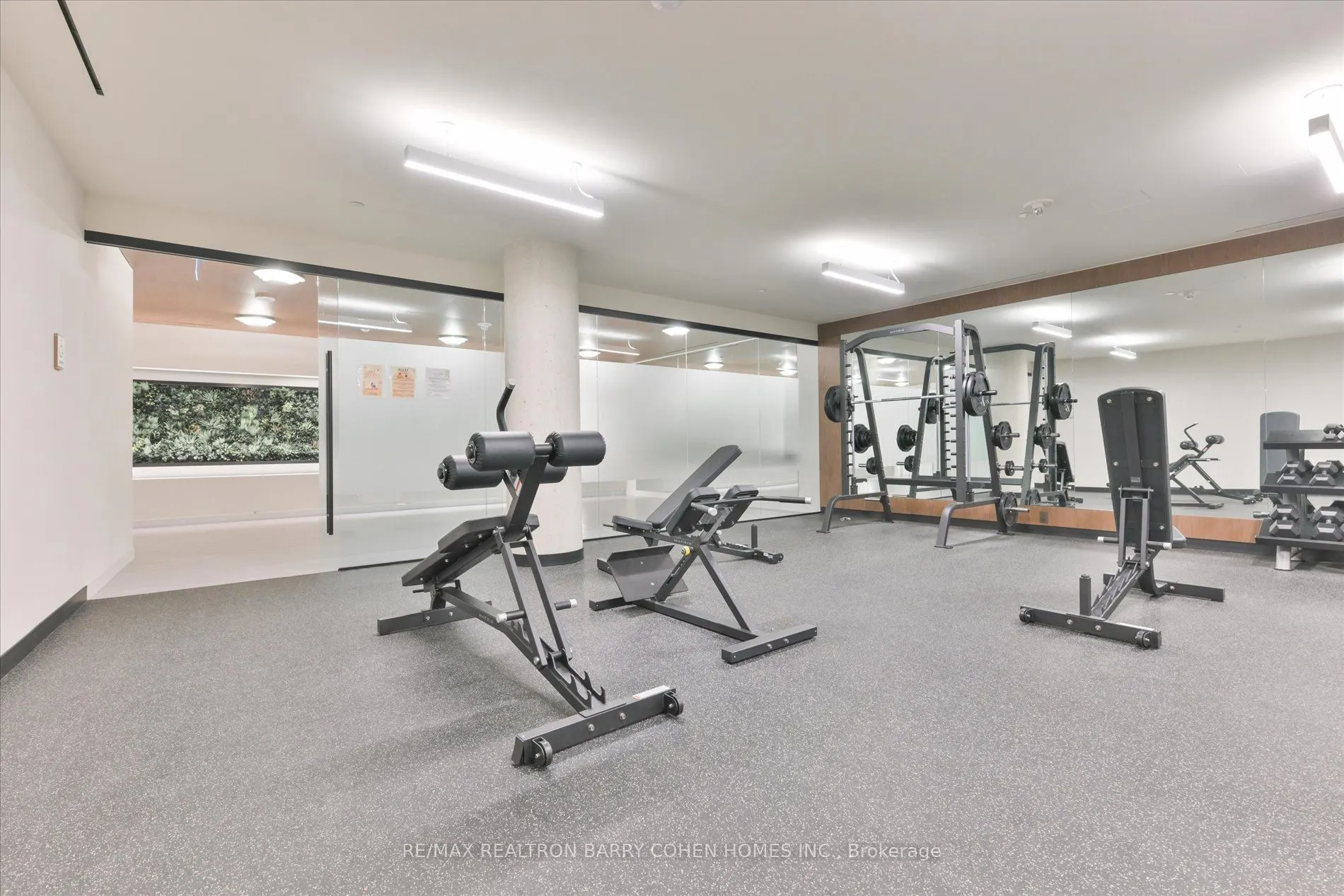 5 Defries Street, #1118