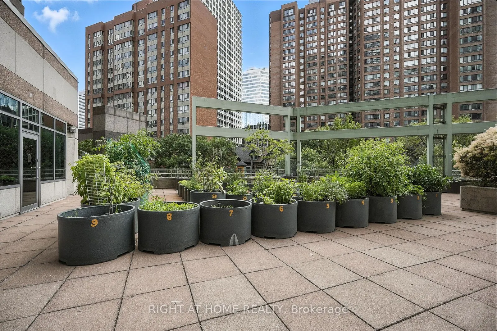 38 Elm Street, #1803