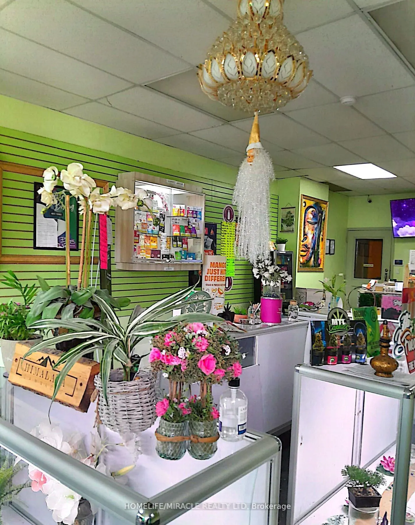 871 Dundas Street