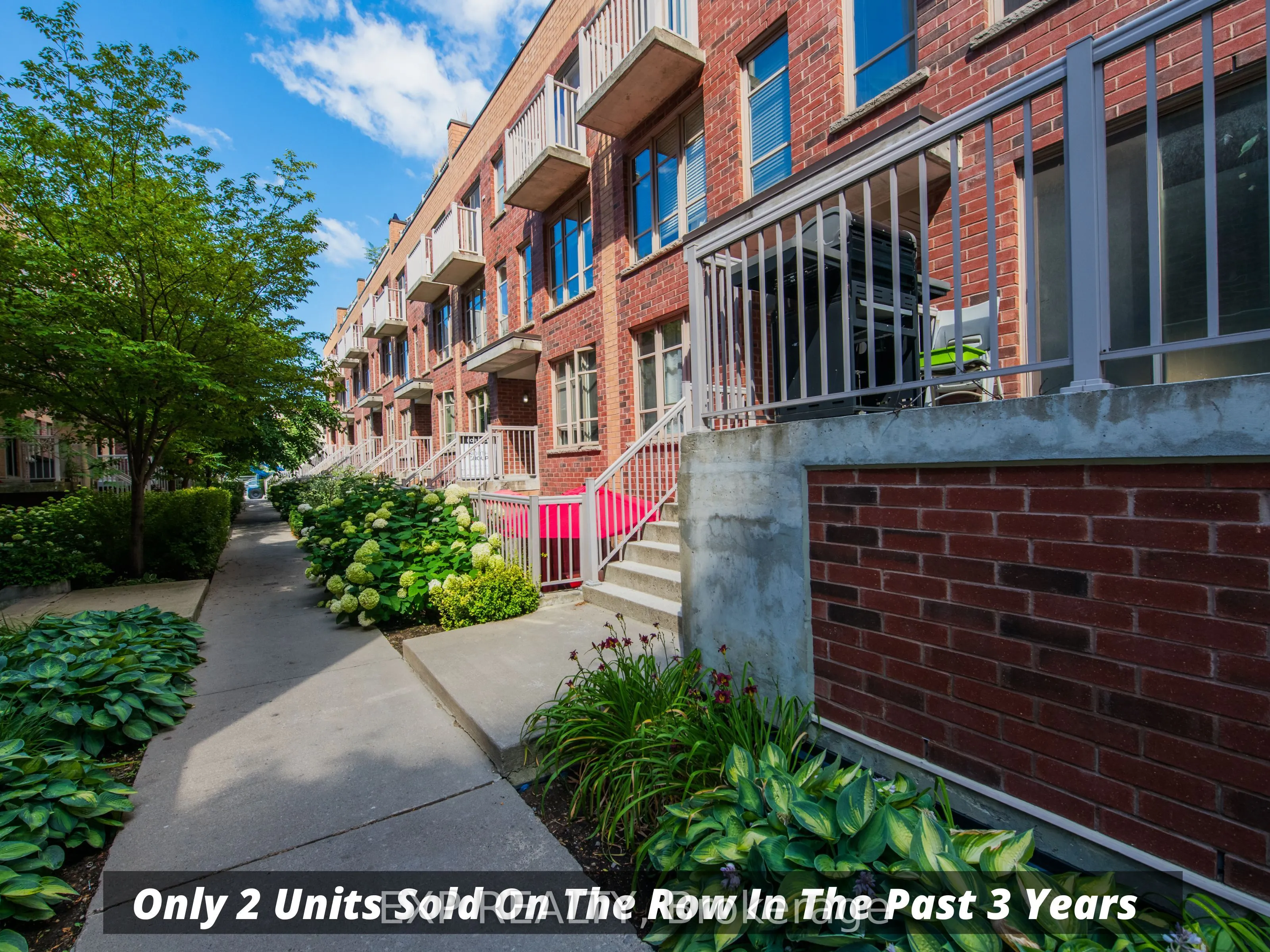 21 Ruttan Street, #242