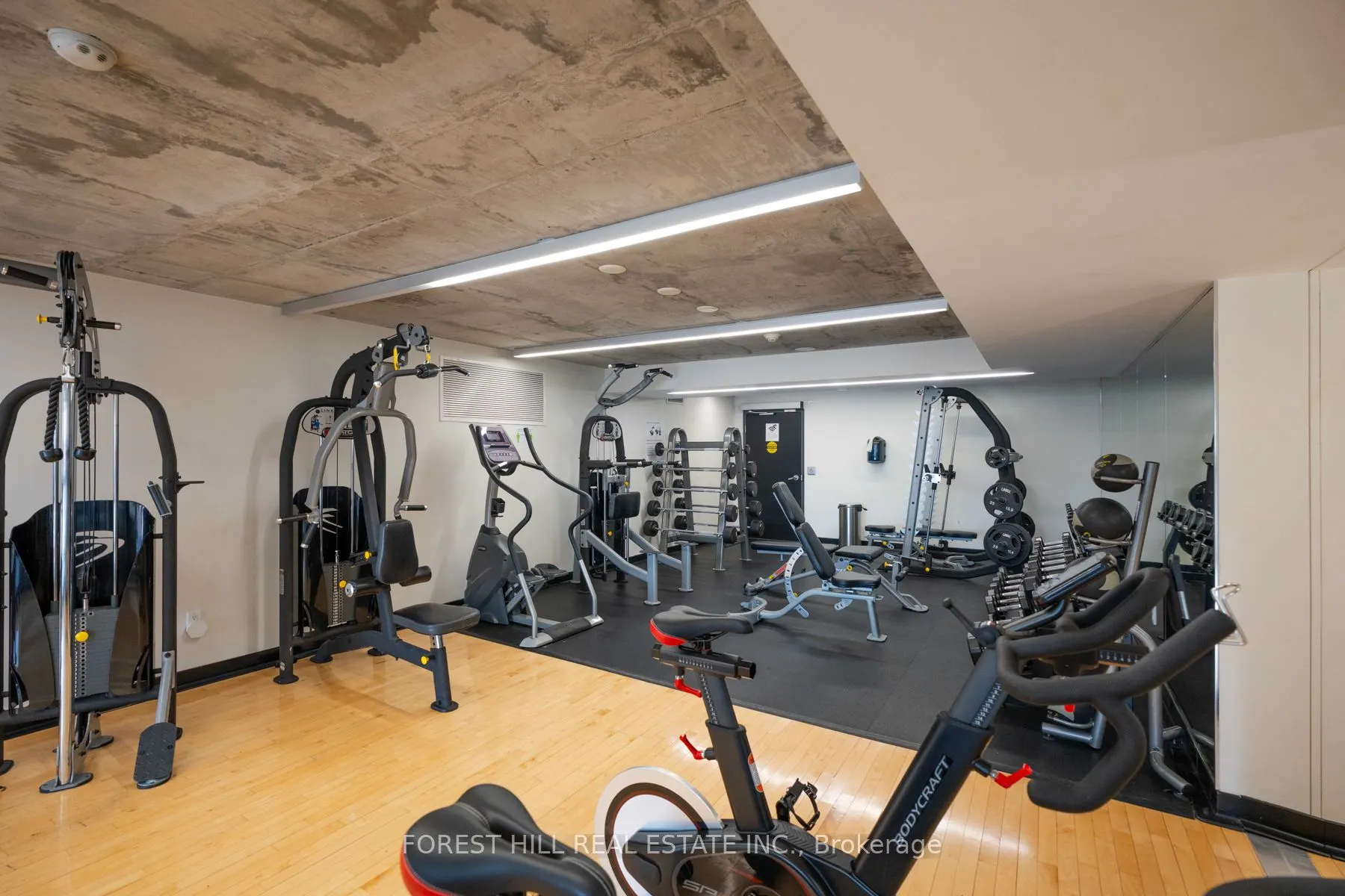 78 Tecumseth Street, #1005E