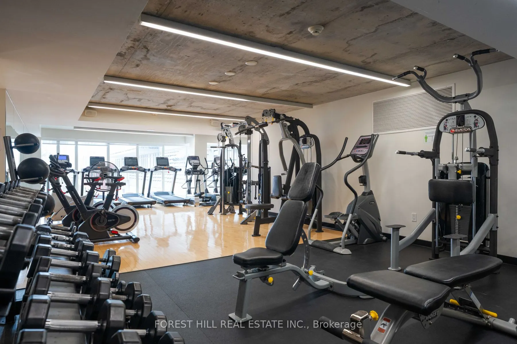 78 Tecumseth Street, #1005E