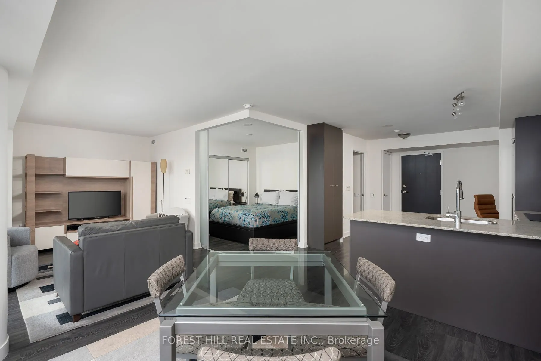 78 Tecumseth Street, #1005E