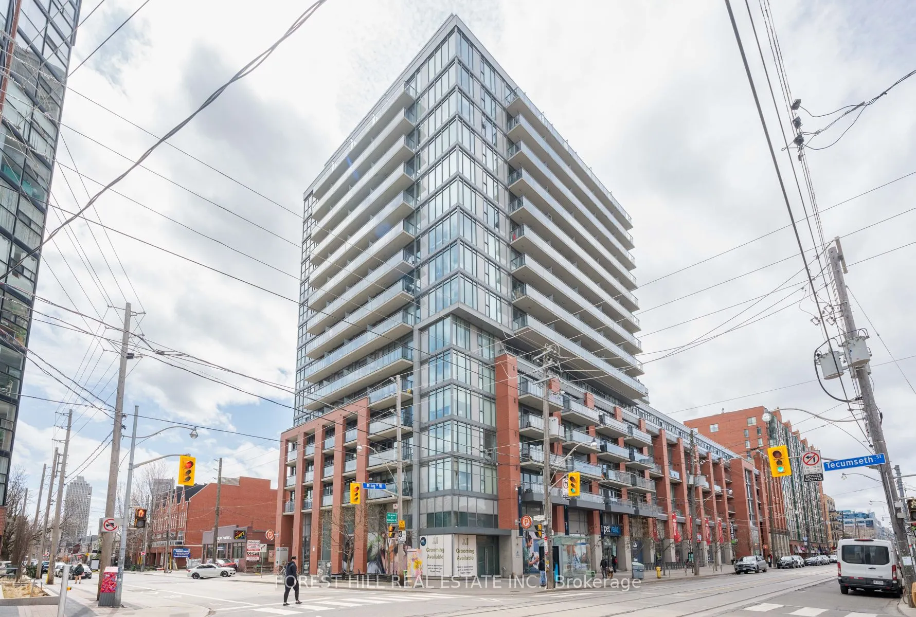 78 Tecumseth Street, #1005E