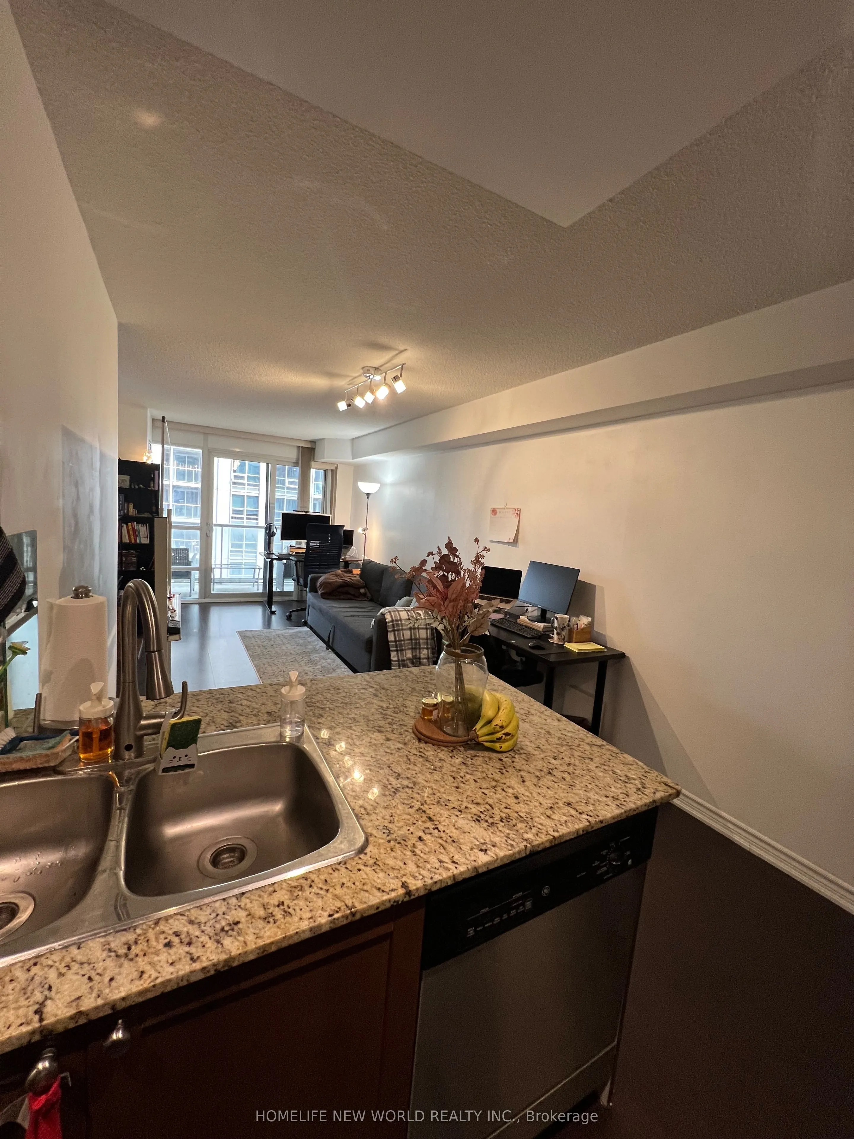 761 Bay Street, #1113